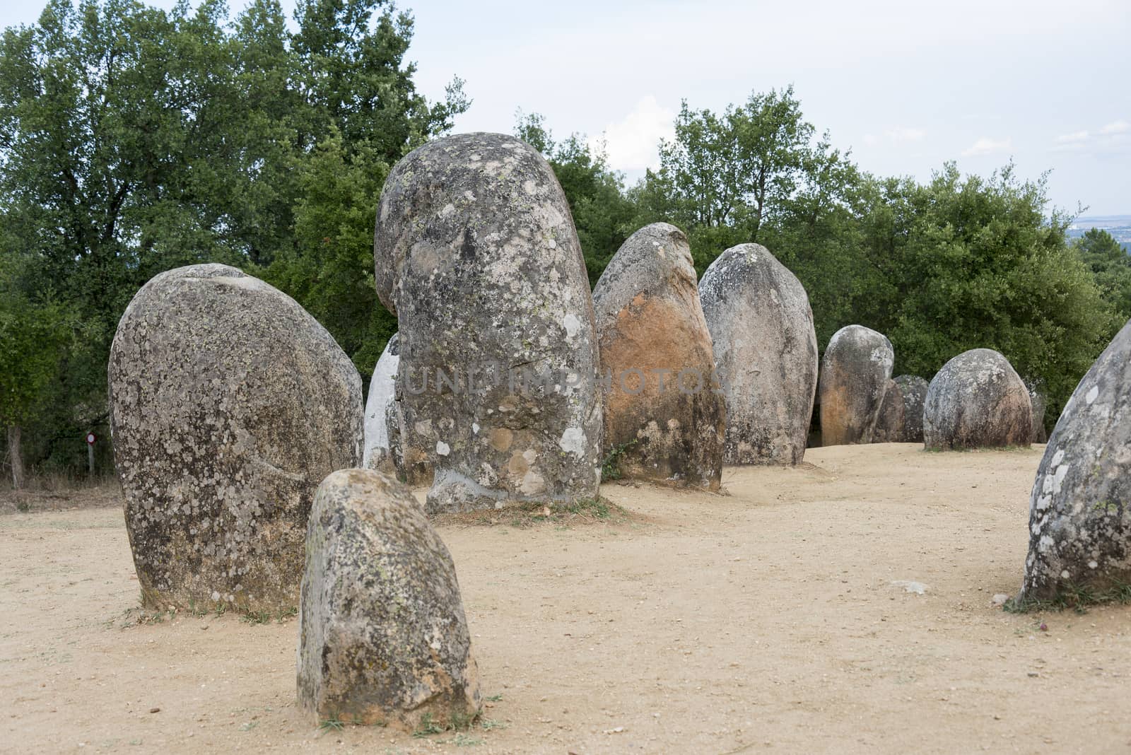 Menhirs in megalithic monument of Cromelech dos Almendres - Evora -Portugal