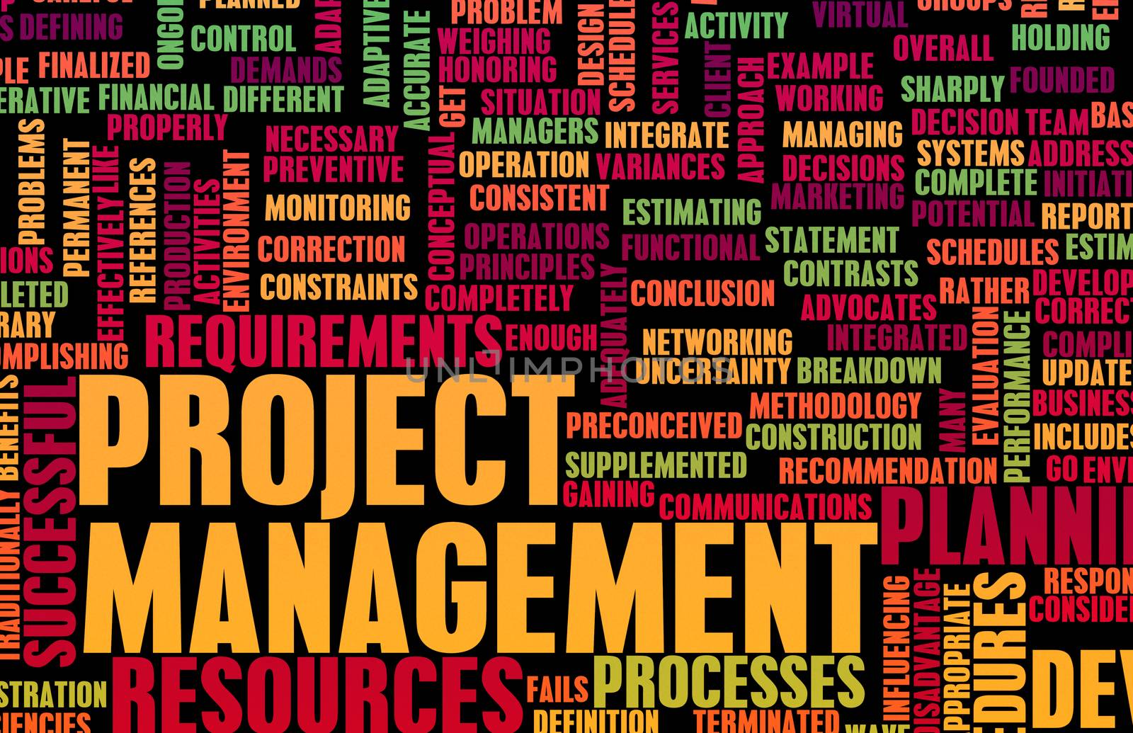 Project Management or a Project Manager as Concept