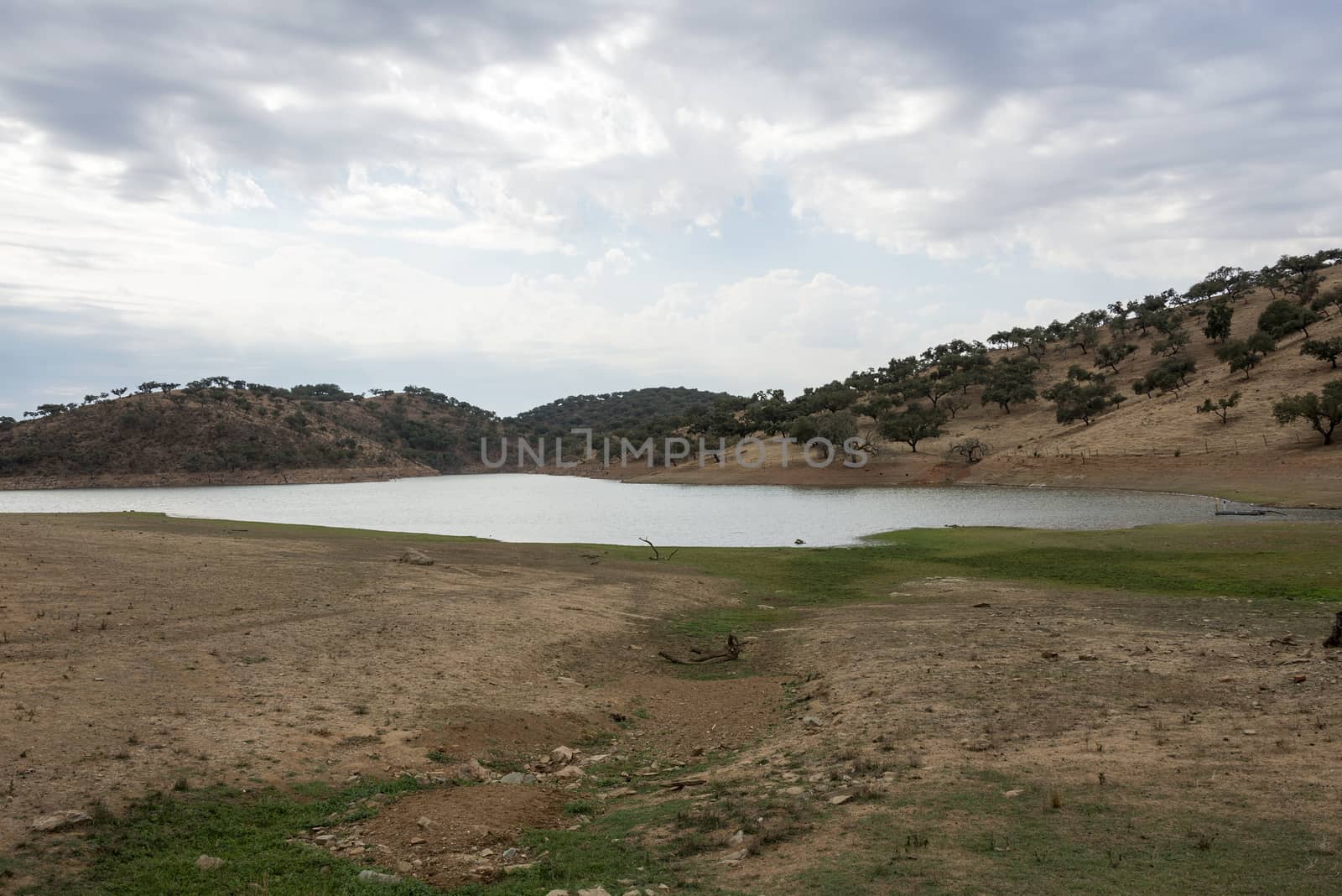 pond in portugal nature alentejo near evora
