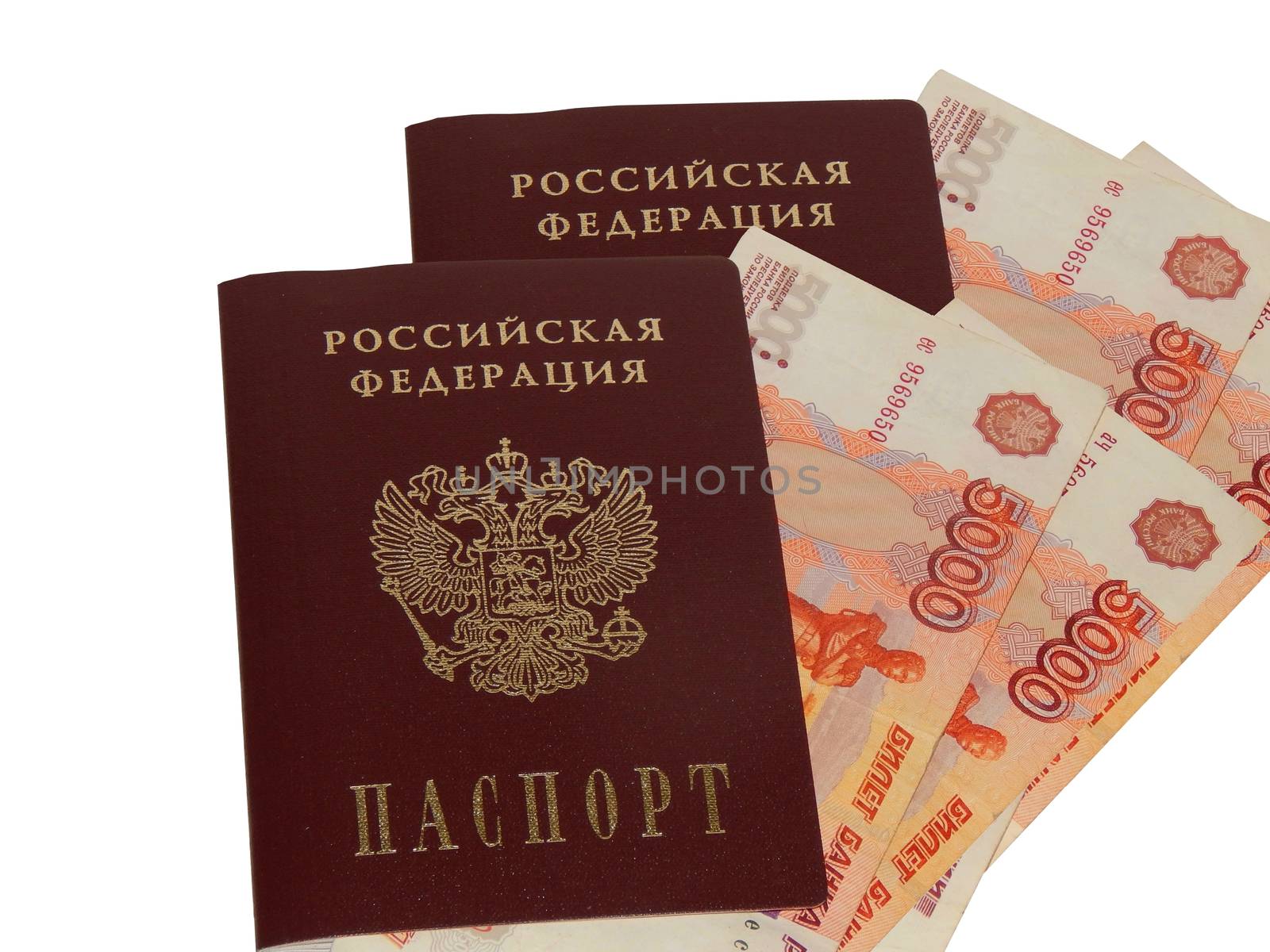 Russian passport with money by kimbelij