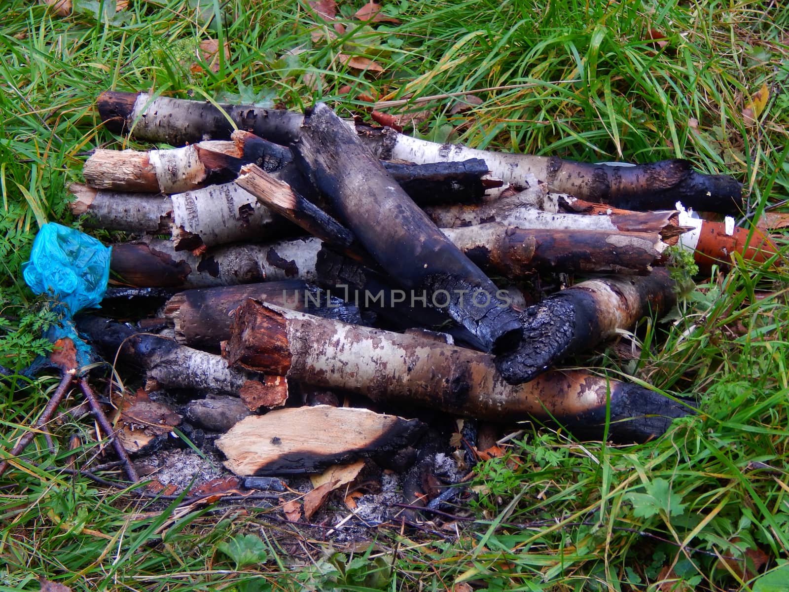 Firewood from the burned-out fire