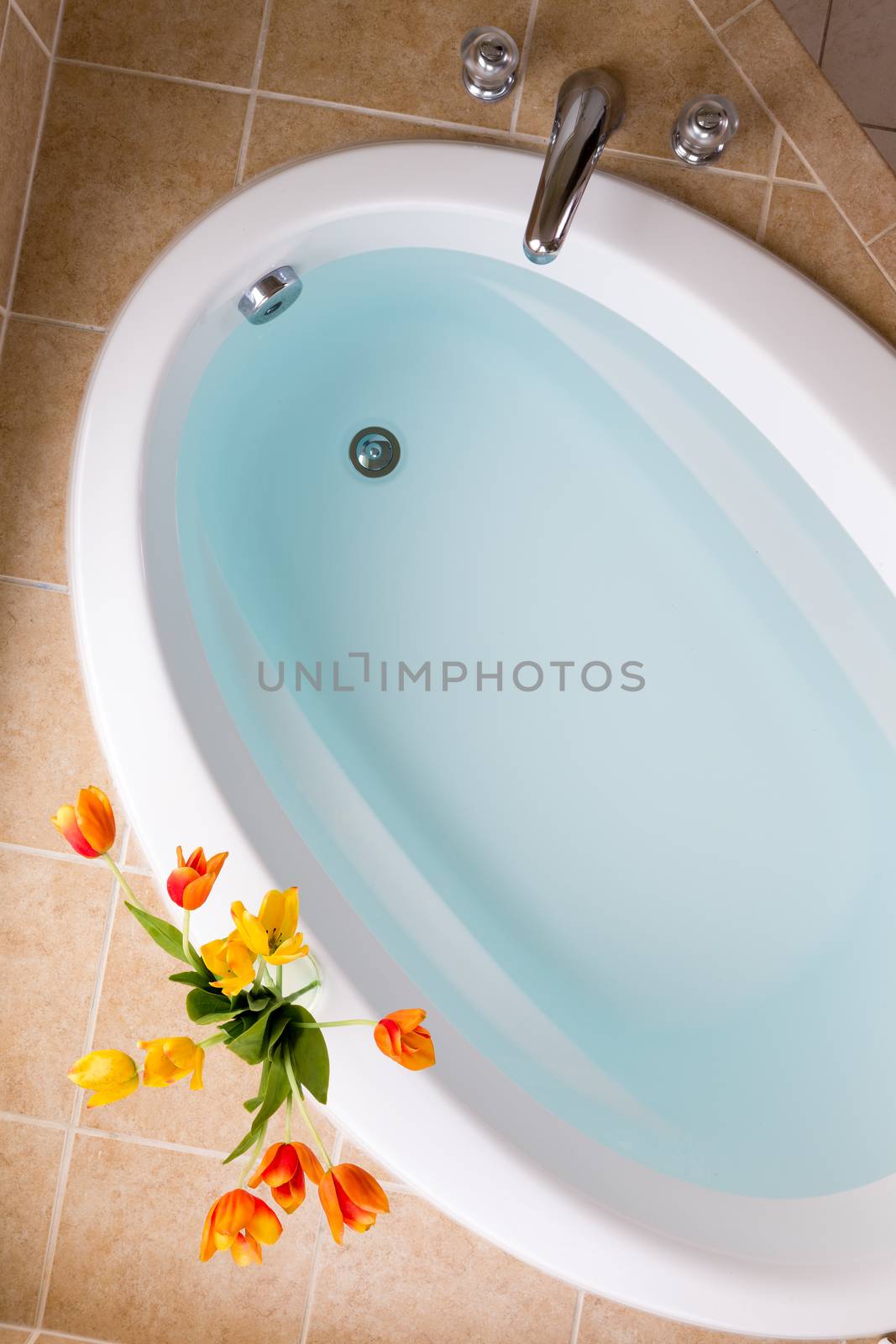 Sunken oval bathtub filled with clean water in a brown tile surround with a vase of fresh spring tulips, overhead view