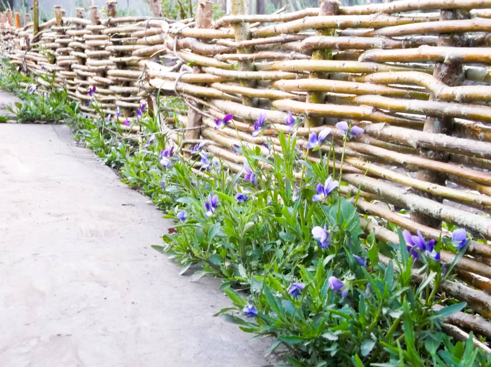 fence with flowers by rodakm