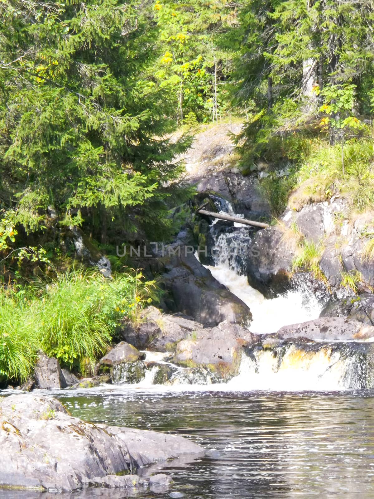 Beautiful small waterfall in a green deciduous forest