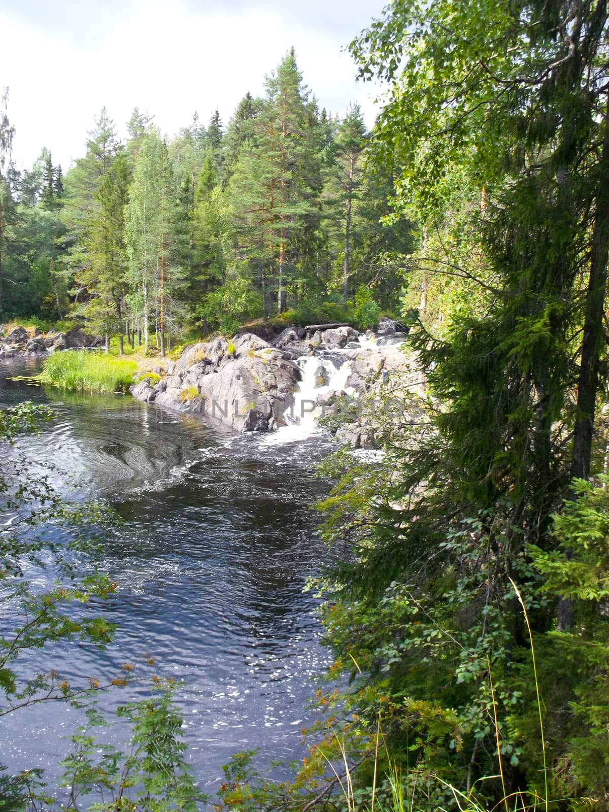 Beautiful small waterfall in a green deciduous forest