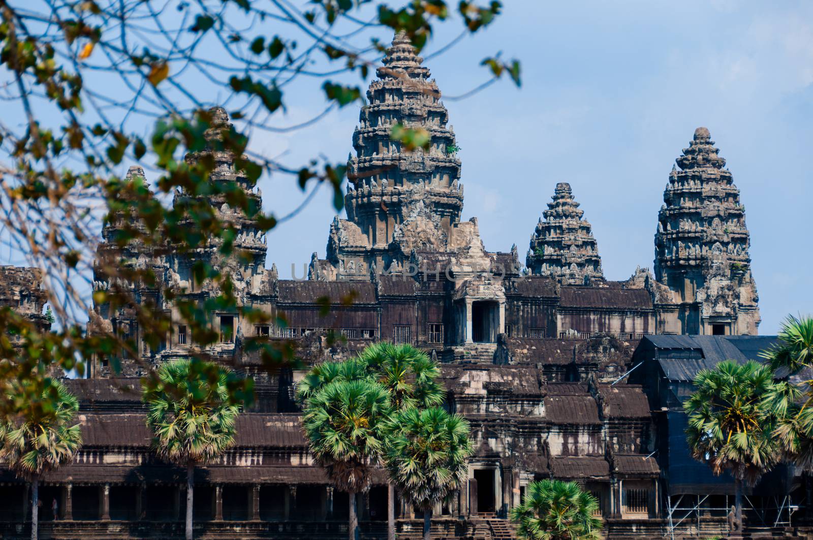 Leaves in front of Angkor Wat Cambodia