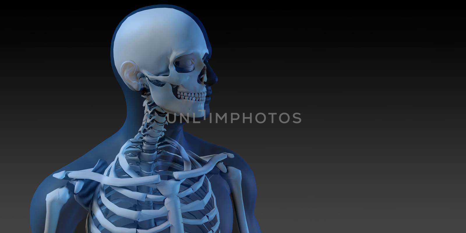 Human Anatomy with Visible Skeleton and Muscles Art