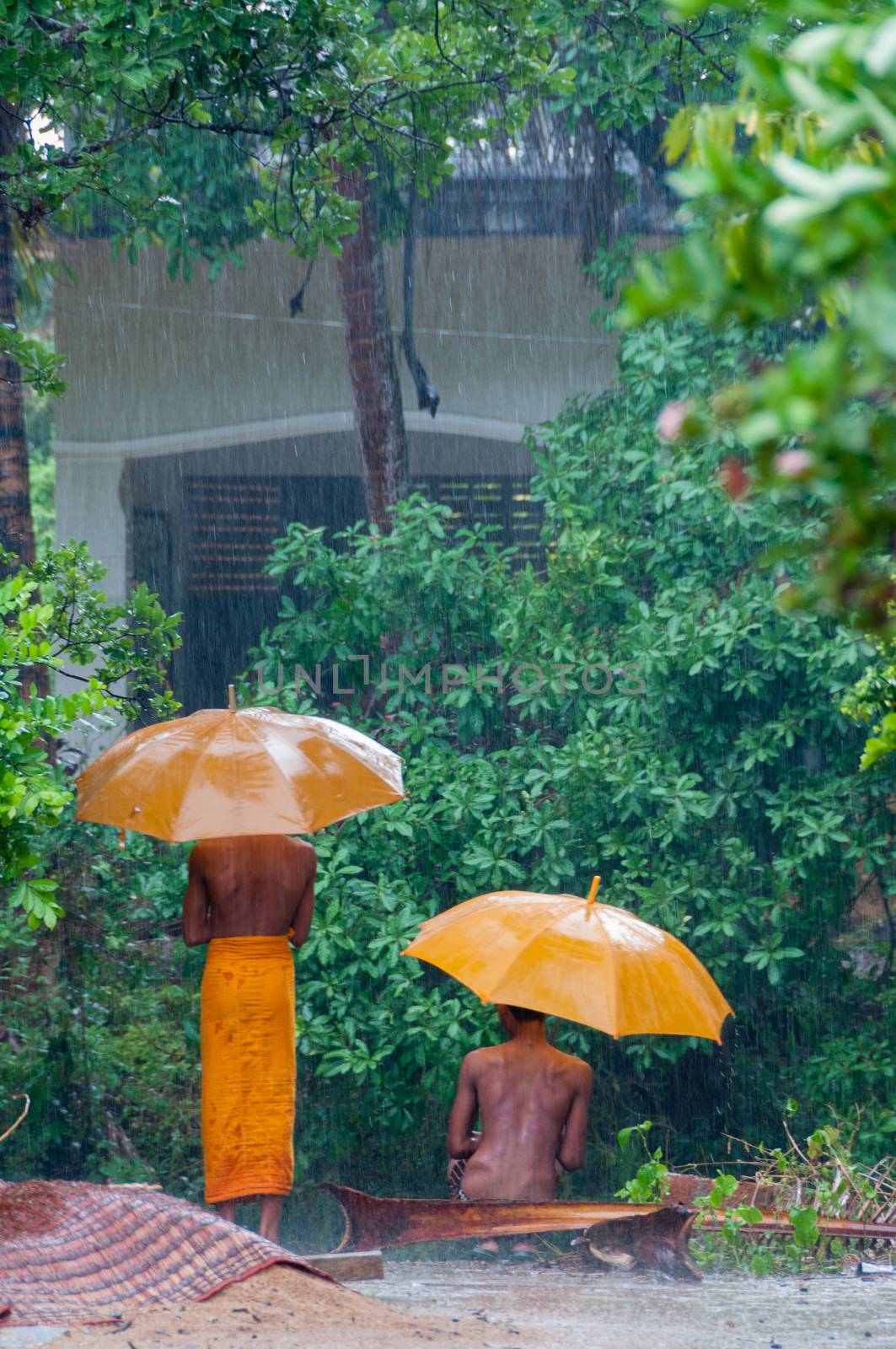 two Orange monk with umbrella in the rain in Cambodia