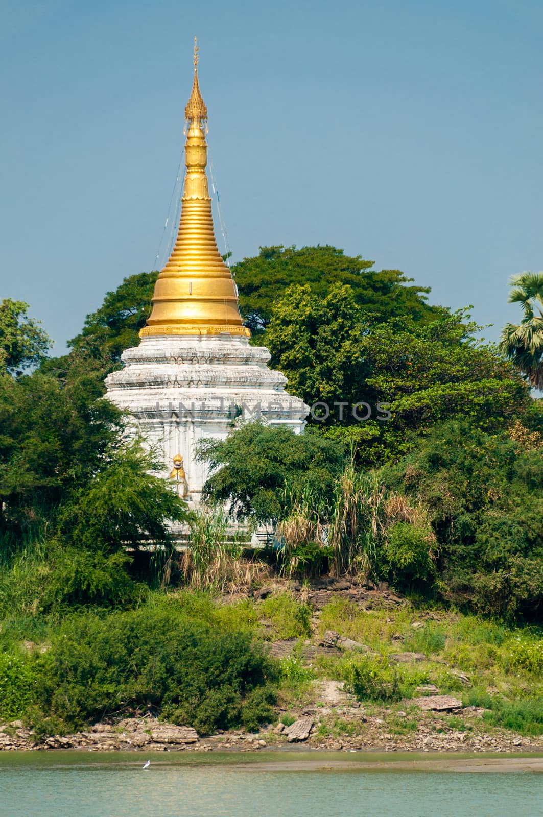 Gold white Pagoda Stupa at Irrawaddy river between trees by attiarndt