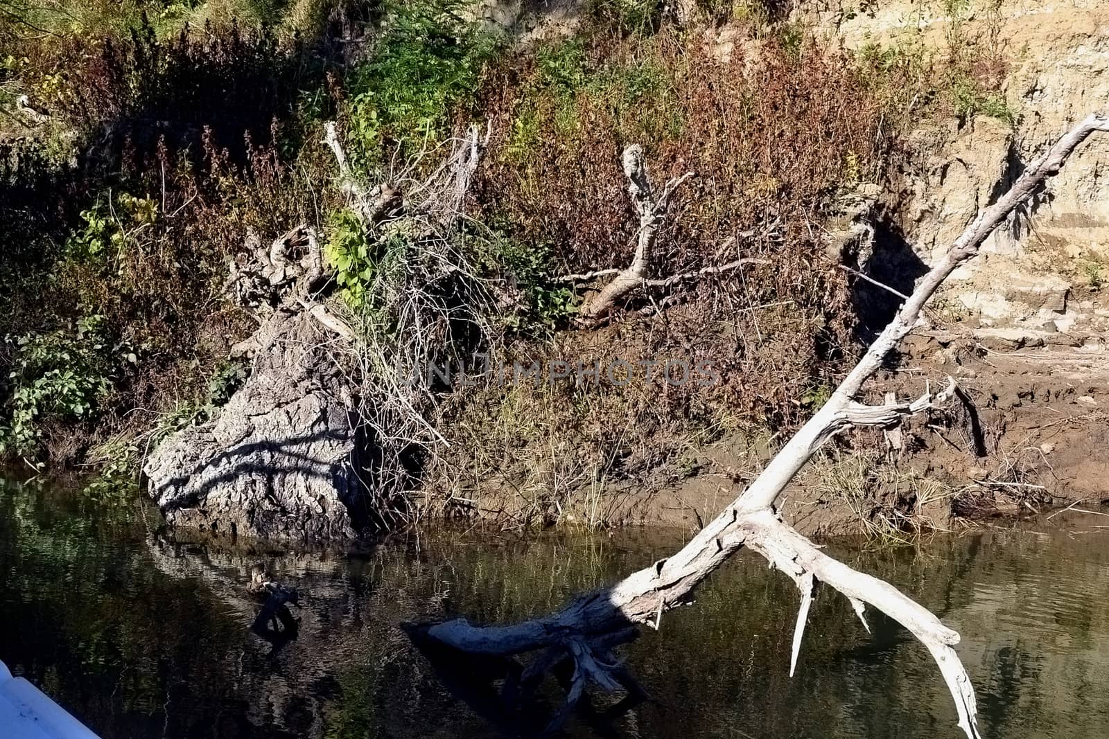 Trees shed their colorful leaves in the river.
The water is clean.
The sky is cloudless blue.
Vegetation on the river bank and keep dry colored shades