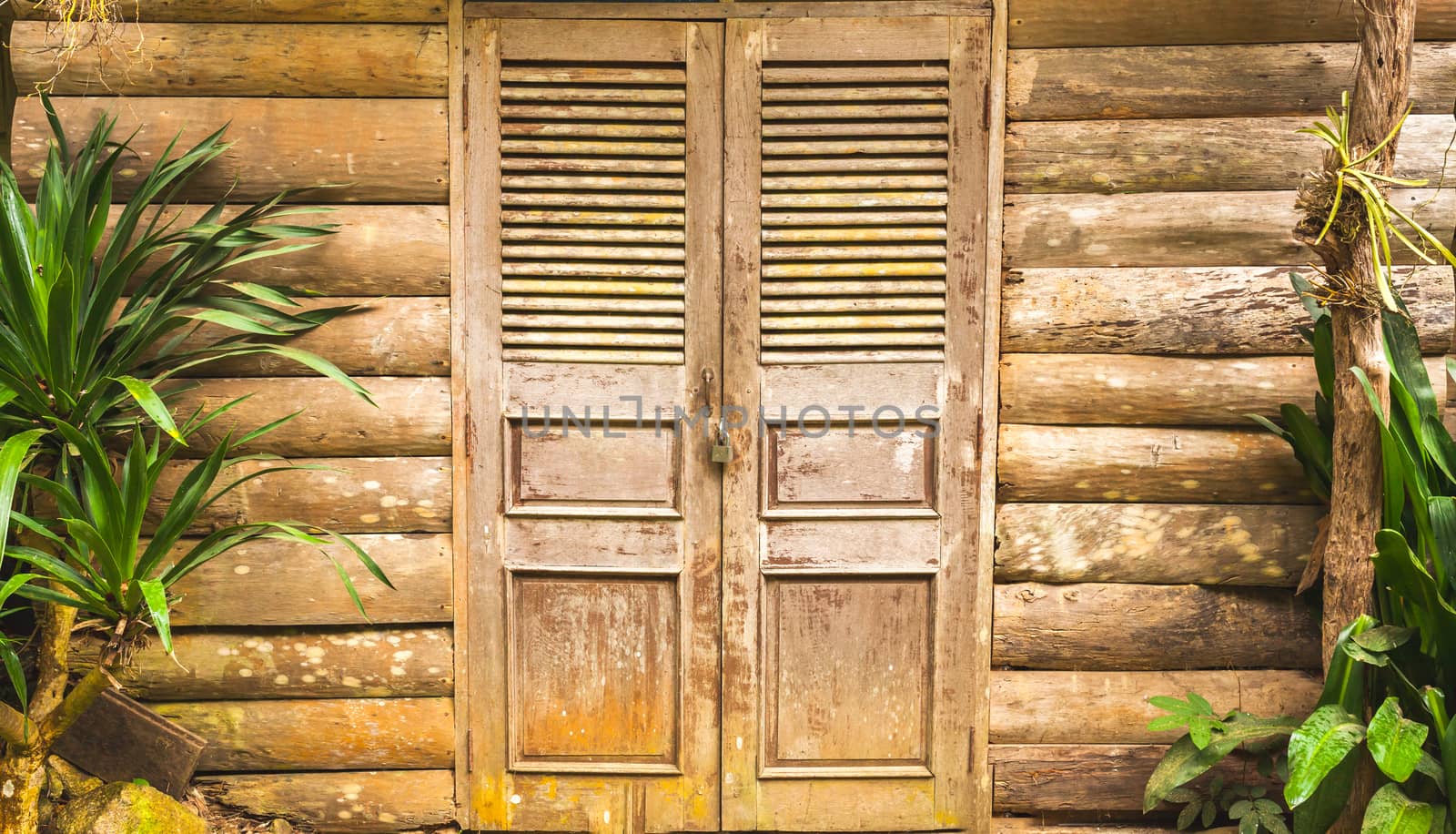 Old wooden barn door and wood wall .