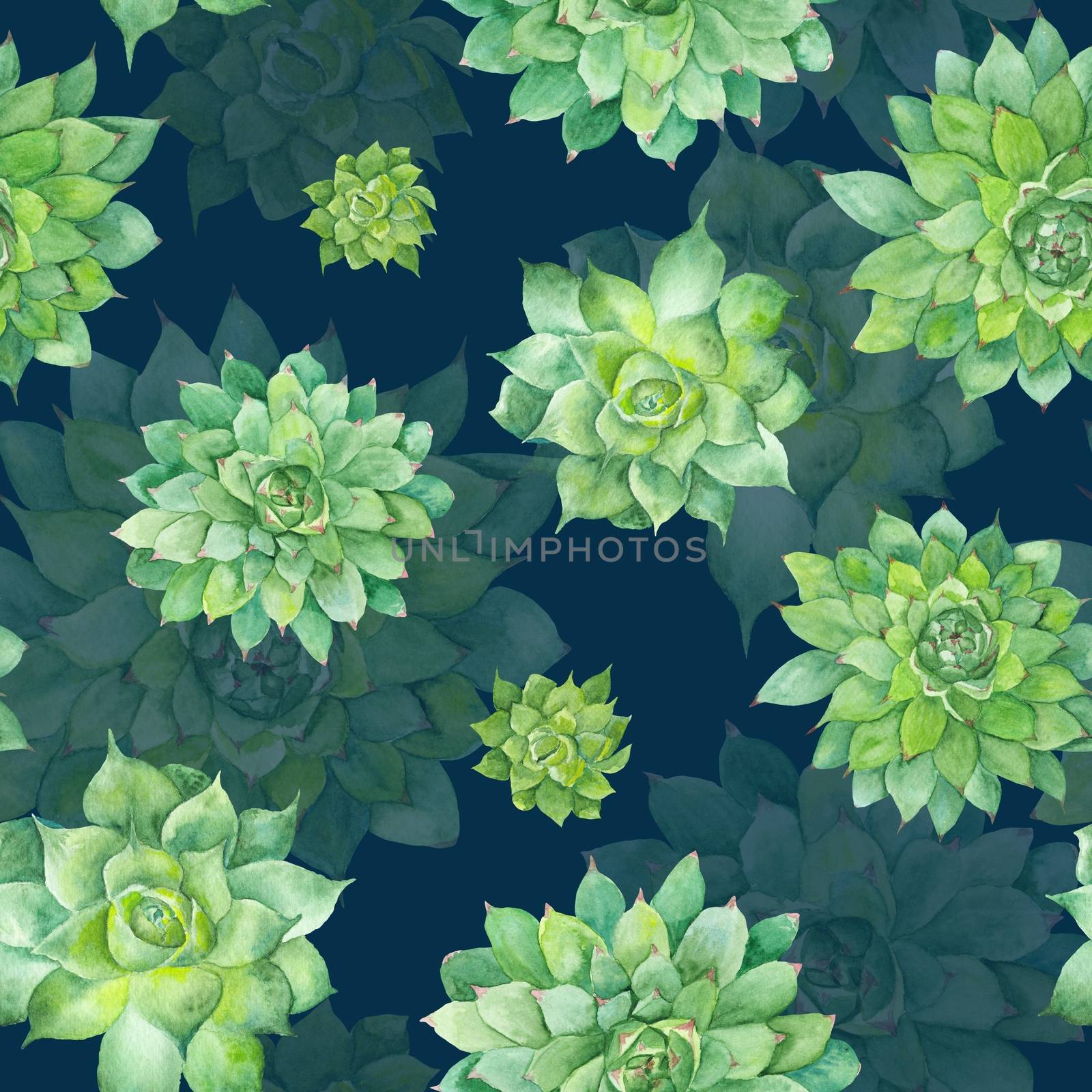 Hand-painted seamless texture with green tropical plant isolated on white background, Sempervivum botanical illustration