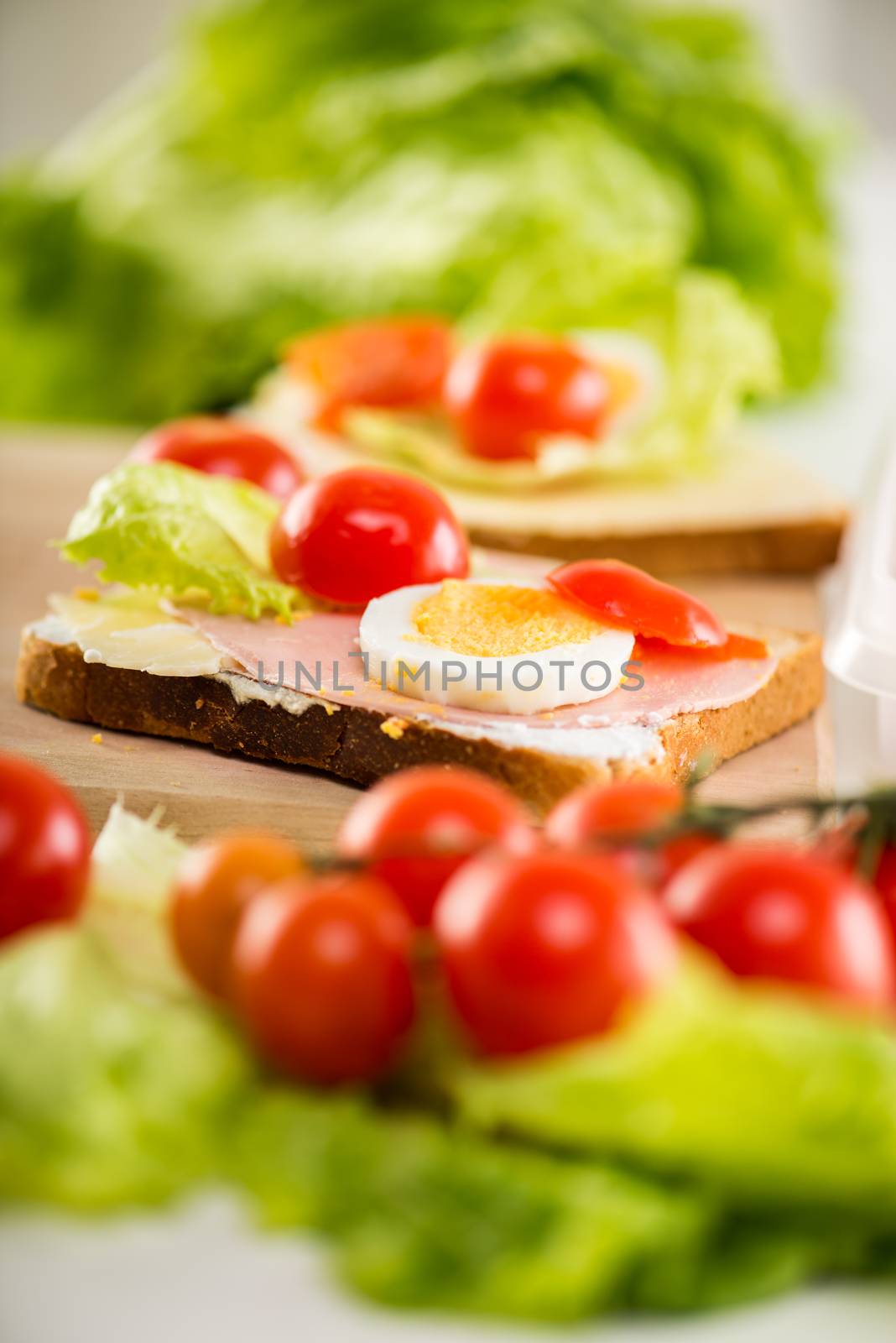 Fresh Sandwich by MilanMarkovic78