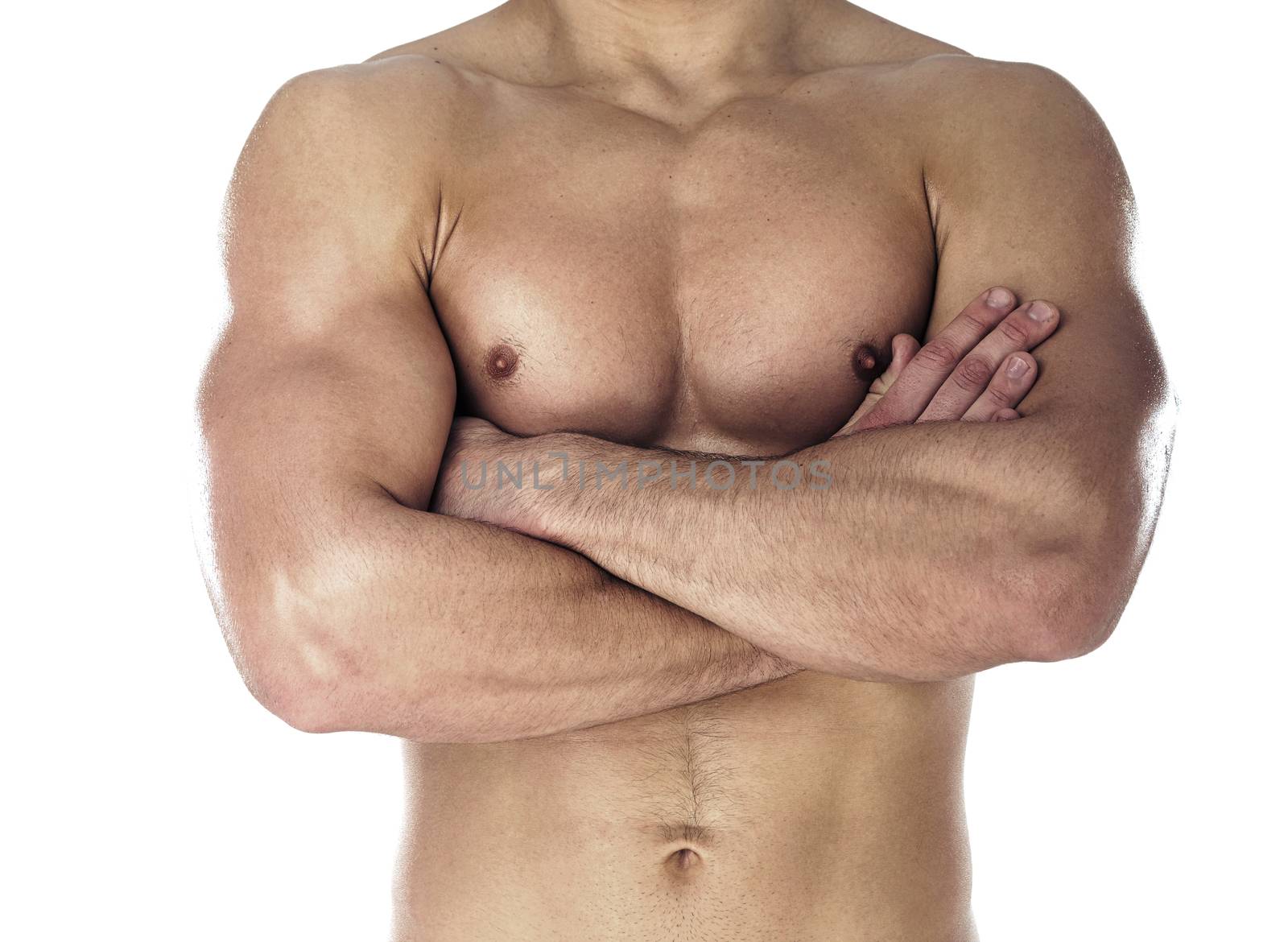 Muscular body of sportsman. Horizontal close-up photo