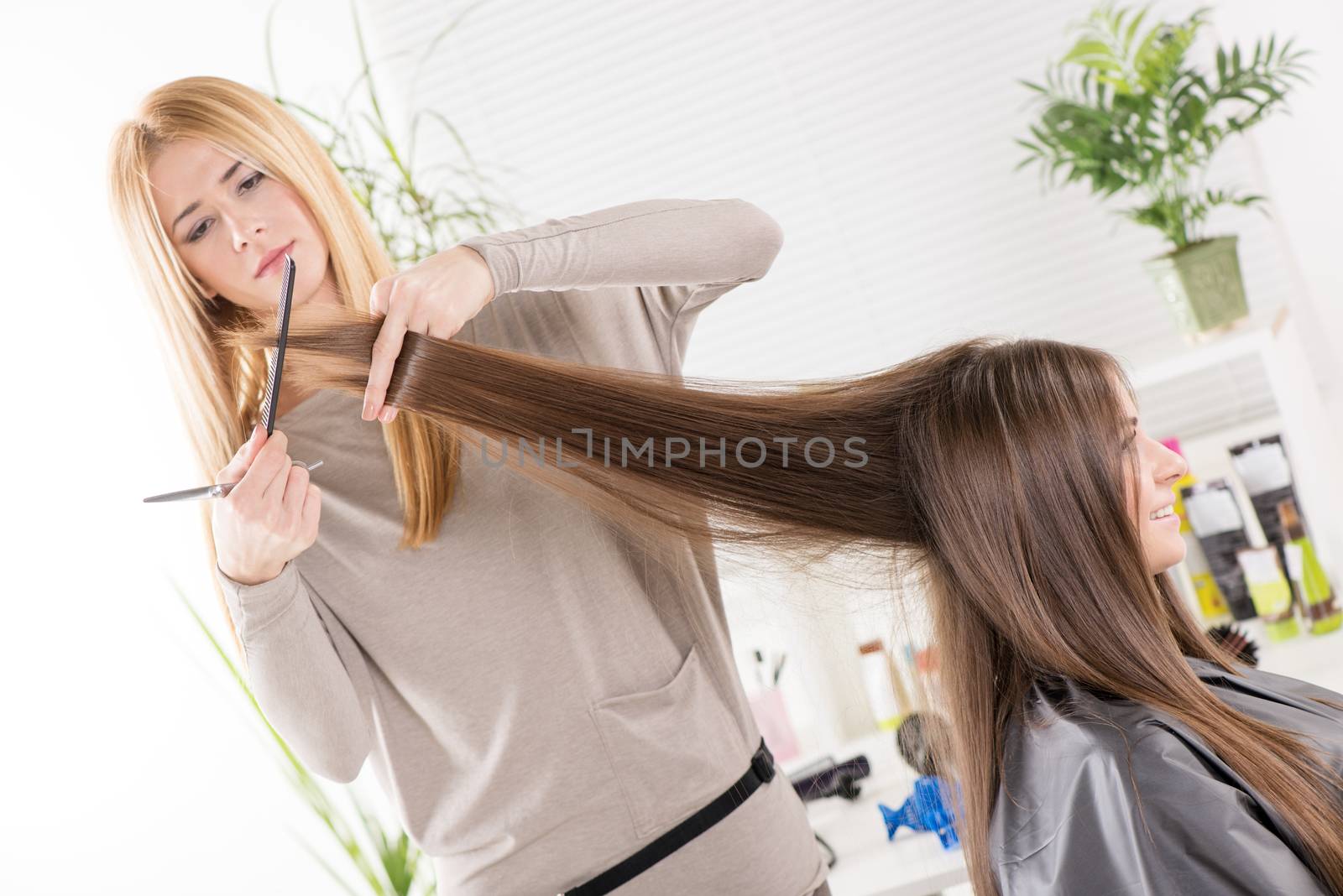 Young beautiful woman having her hair cut at the hairdresser's.