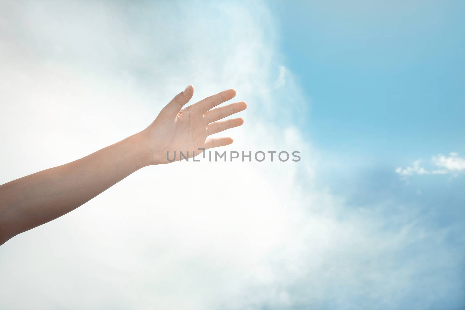 Human hand on a summer sky background