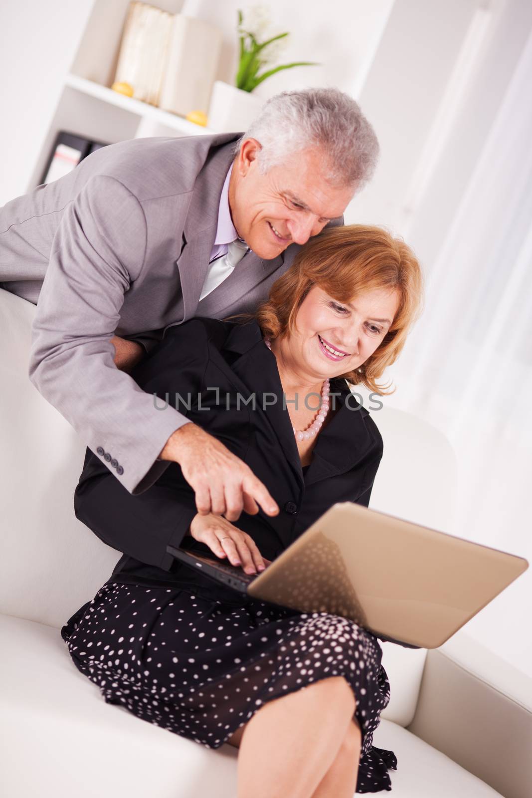 Two Senior businessman working on laptop.