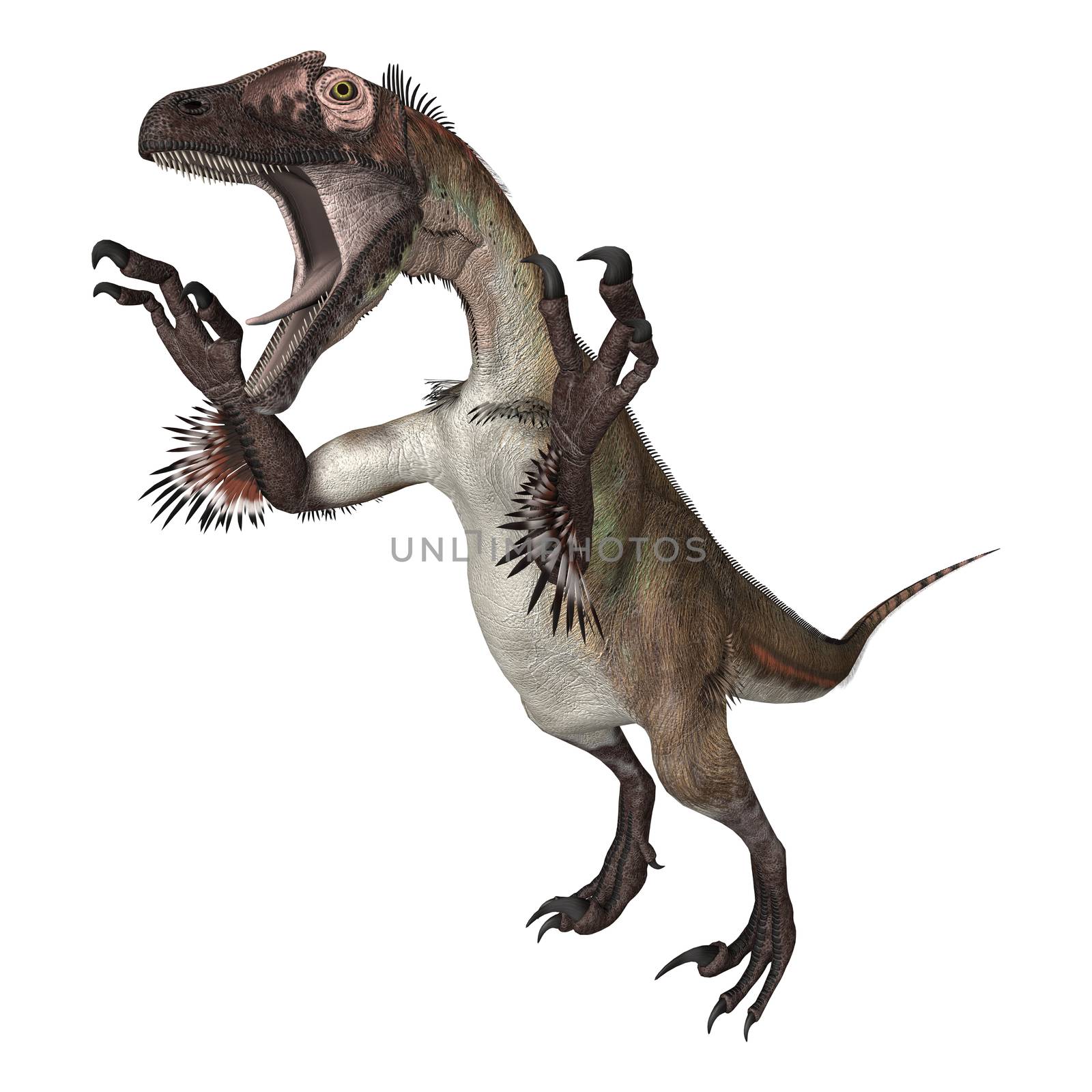 3D digital render of a dinosaur utahraptor isolated on white background
