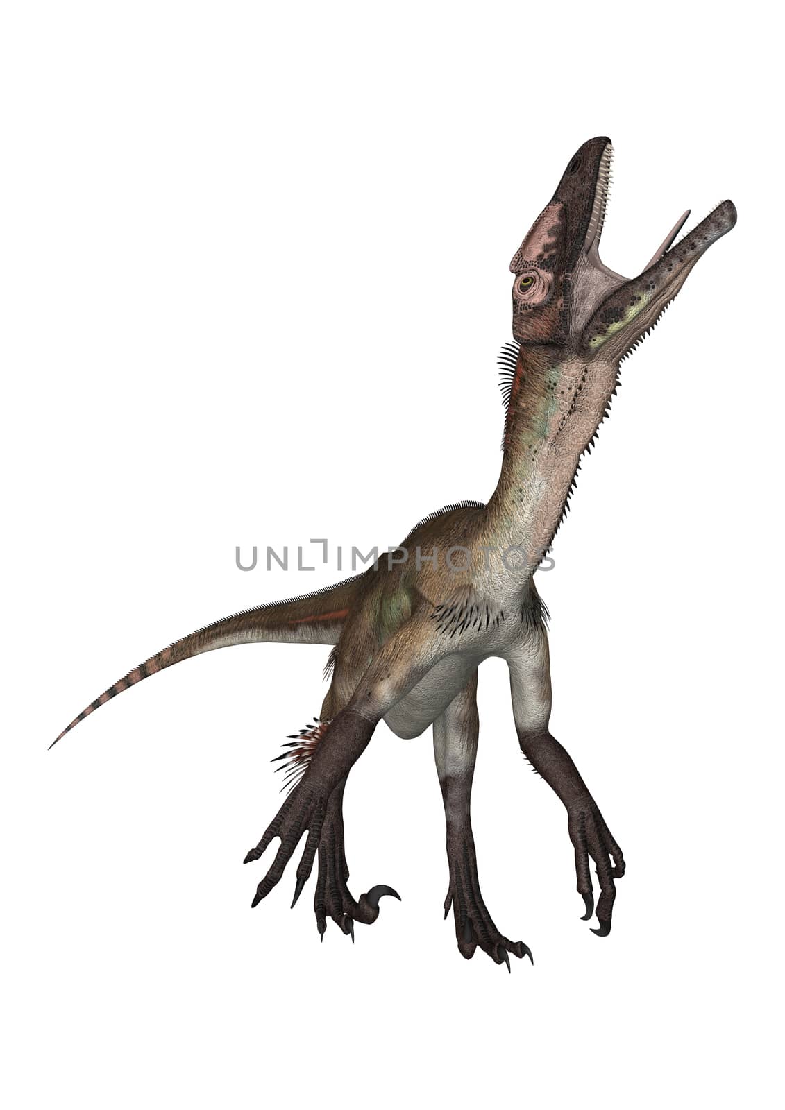 Dinosaur Utahraptor by Vac