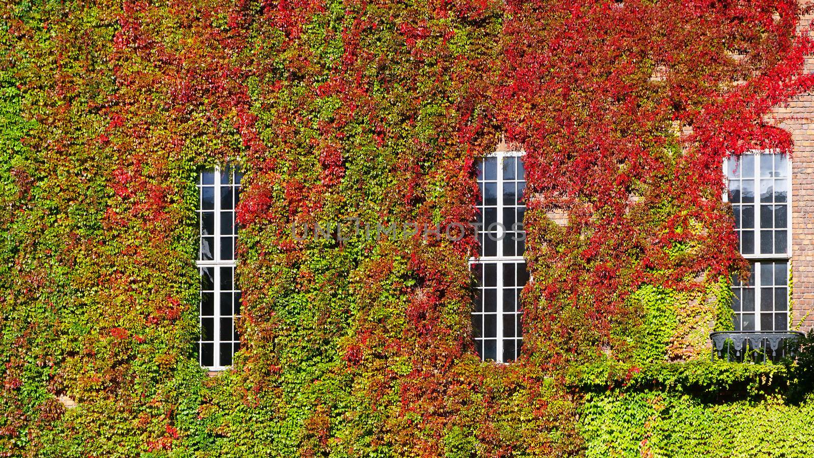 green wall horizontal at Cityhall in Stockholm, Sweden