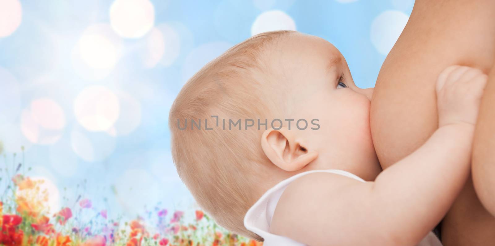 close up of mother breast feeding adorable baby by dolgachov