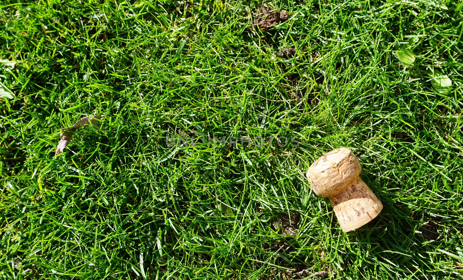 cork object on the grass field