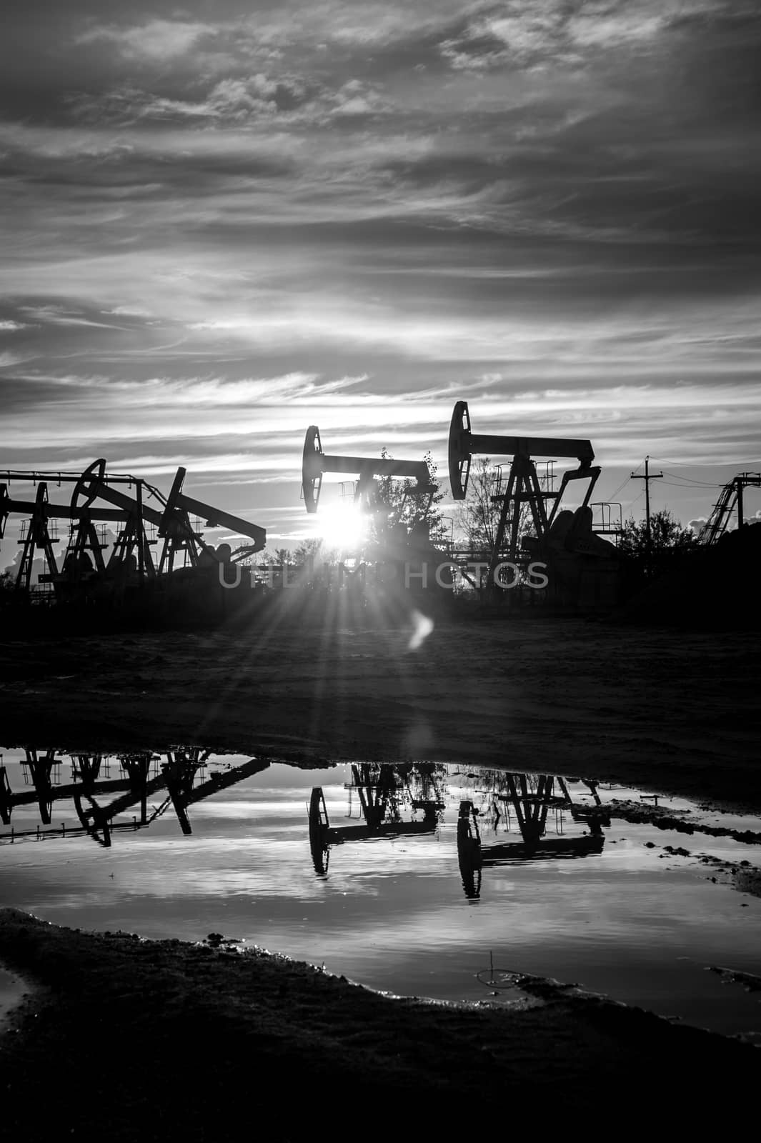 Oil pump jacks at sunset sky background. Black and white.