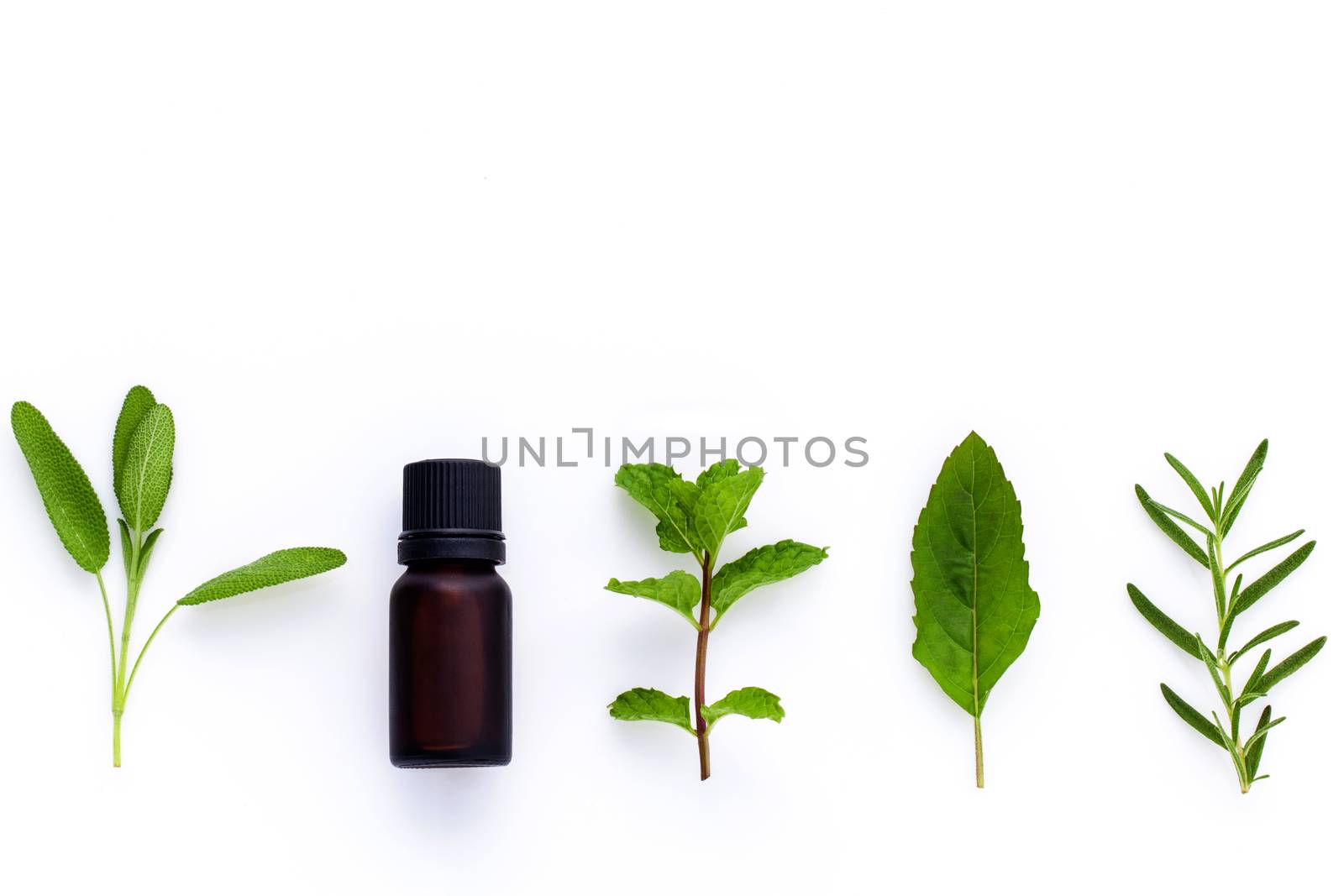 Bottle of essential oil with herb holy basil leaf, rosemary,oregano, sage,basil and mint on white background.