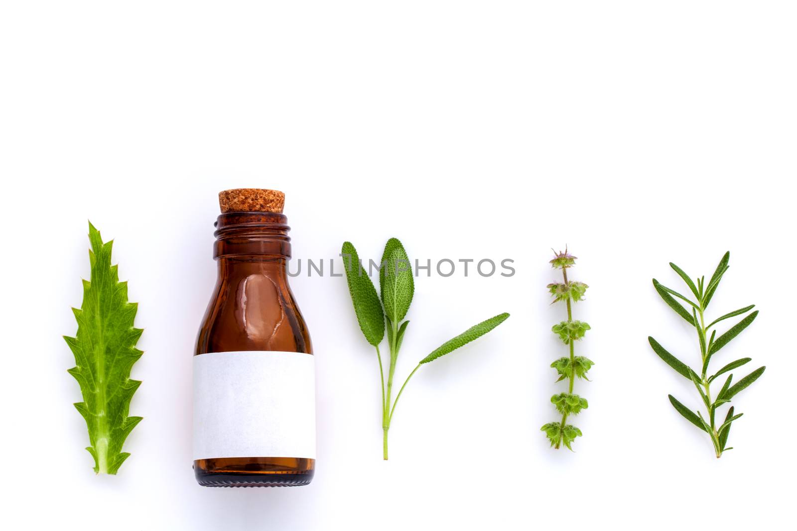 Bottle of essential oil with herb holy basil leaf, rosemary,oregano, sage,basil and mint on white background.