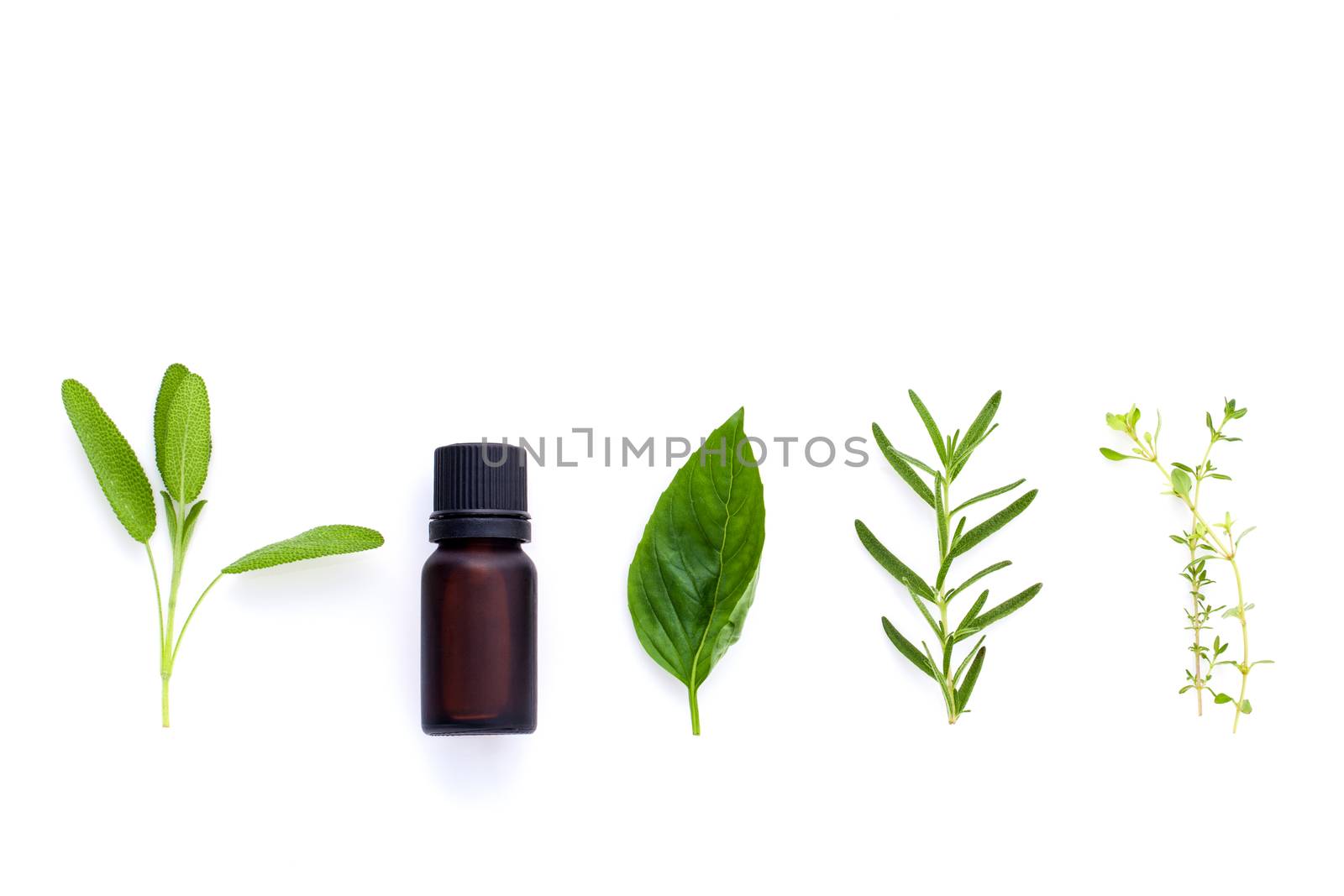 Bottle of essential oil with herb holy basil leaf, rosemary,oregano, sage,basil and mint on white background.