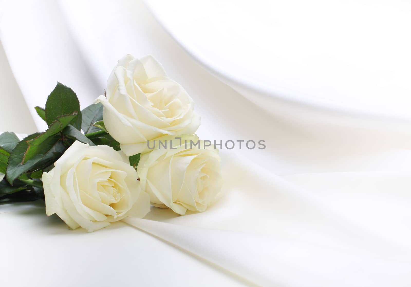 roses bouquet on silk