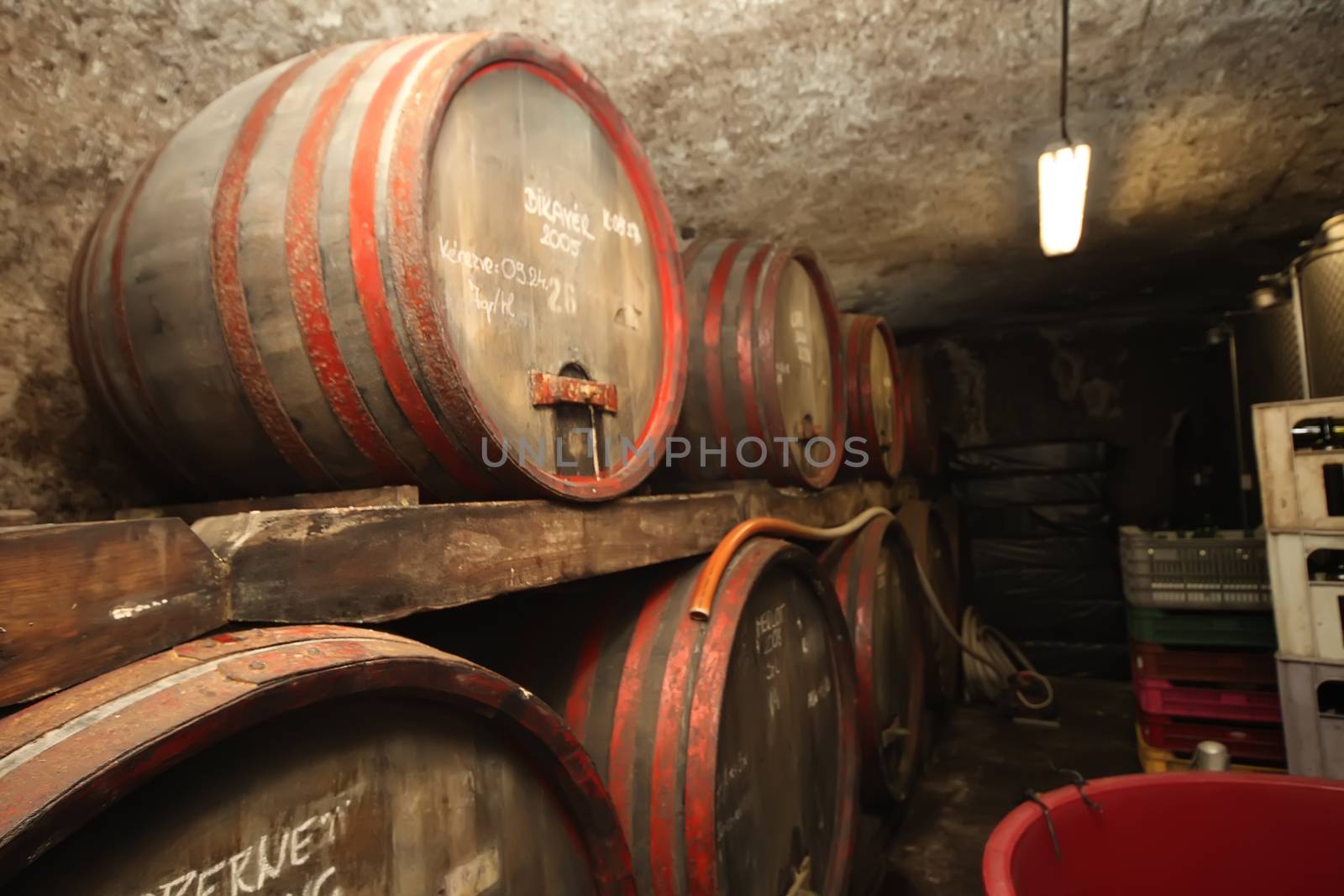 wine cellar by rudchenko