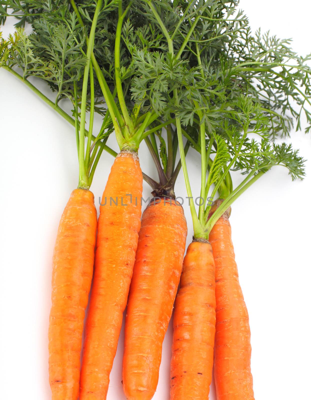 carrots with green leaves on white by rudchenko