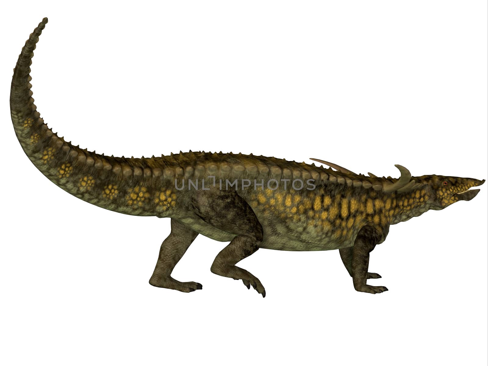 Desmatosuchus was a herbivore with an armored body that lived in the Triassic Period of Arizona and Texas.