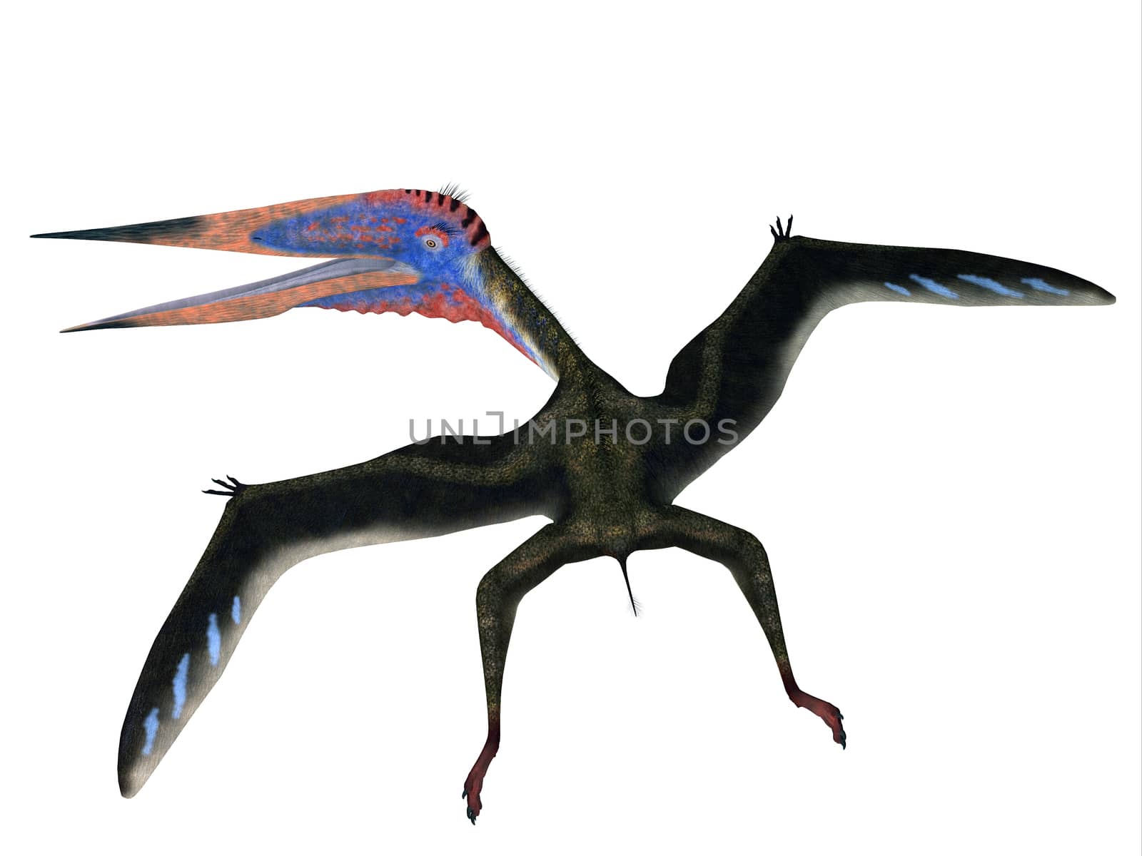 Zhejiangopterus Flying Pterosaur by Catmando