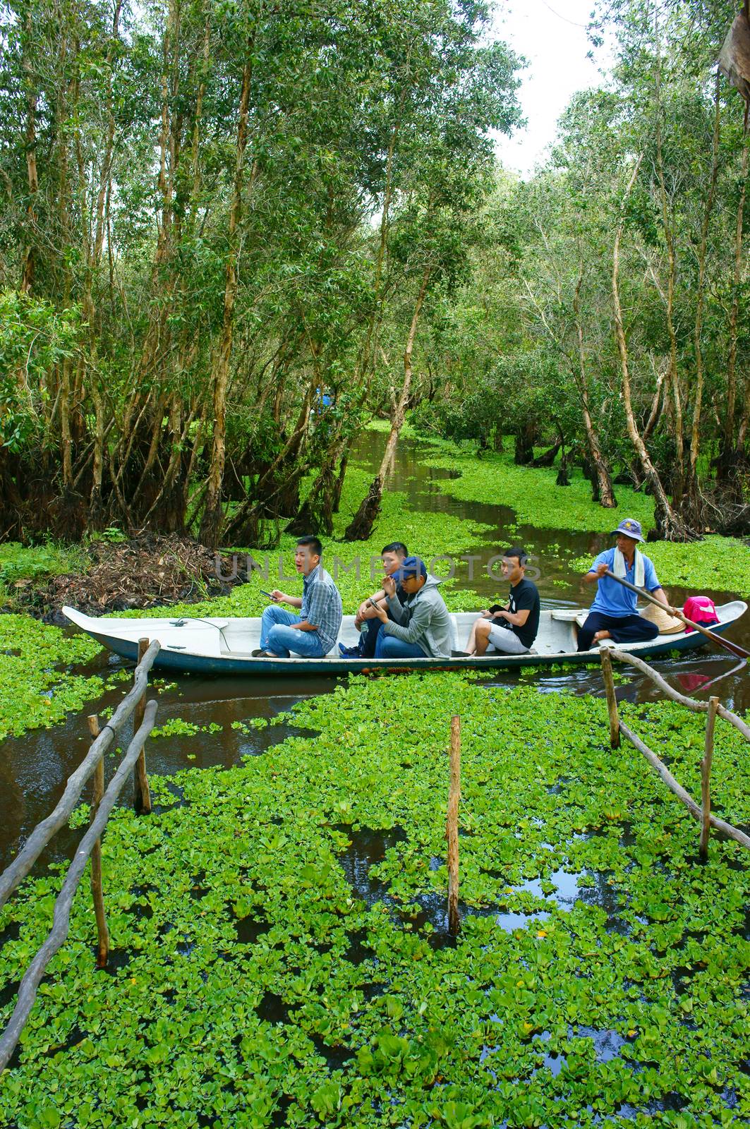 Mekong Delta, Tra Su indigo forest, ecotourism by xuanhuongho