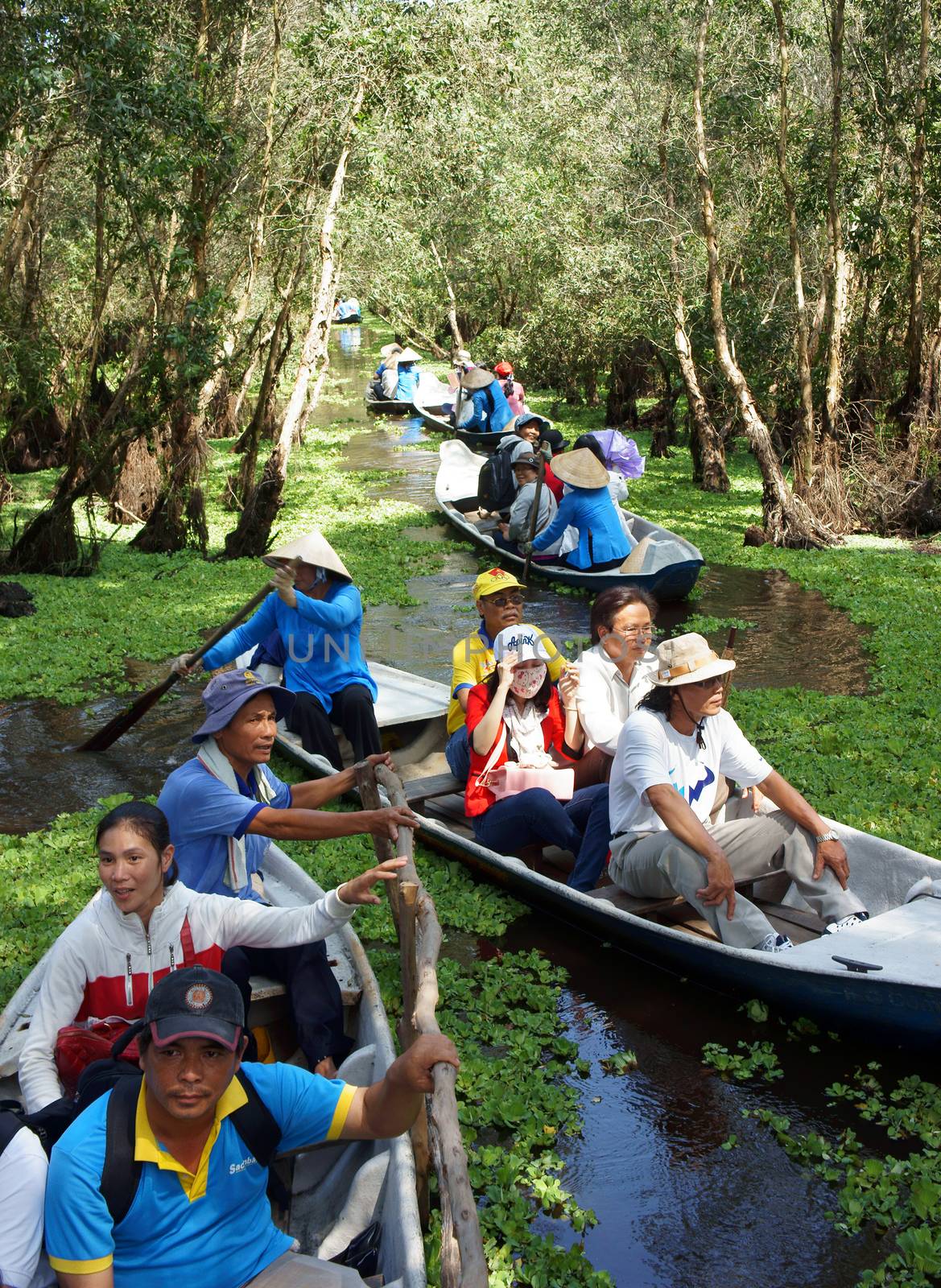Mekong Delta, Tra Su indigo forest, ecotourism by xuanhuongho