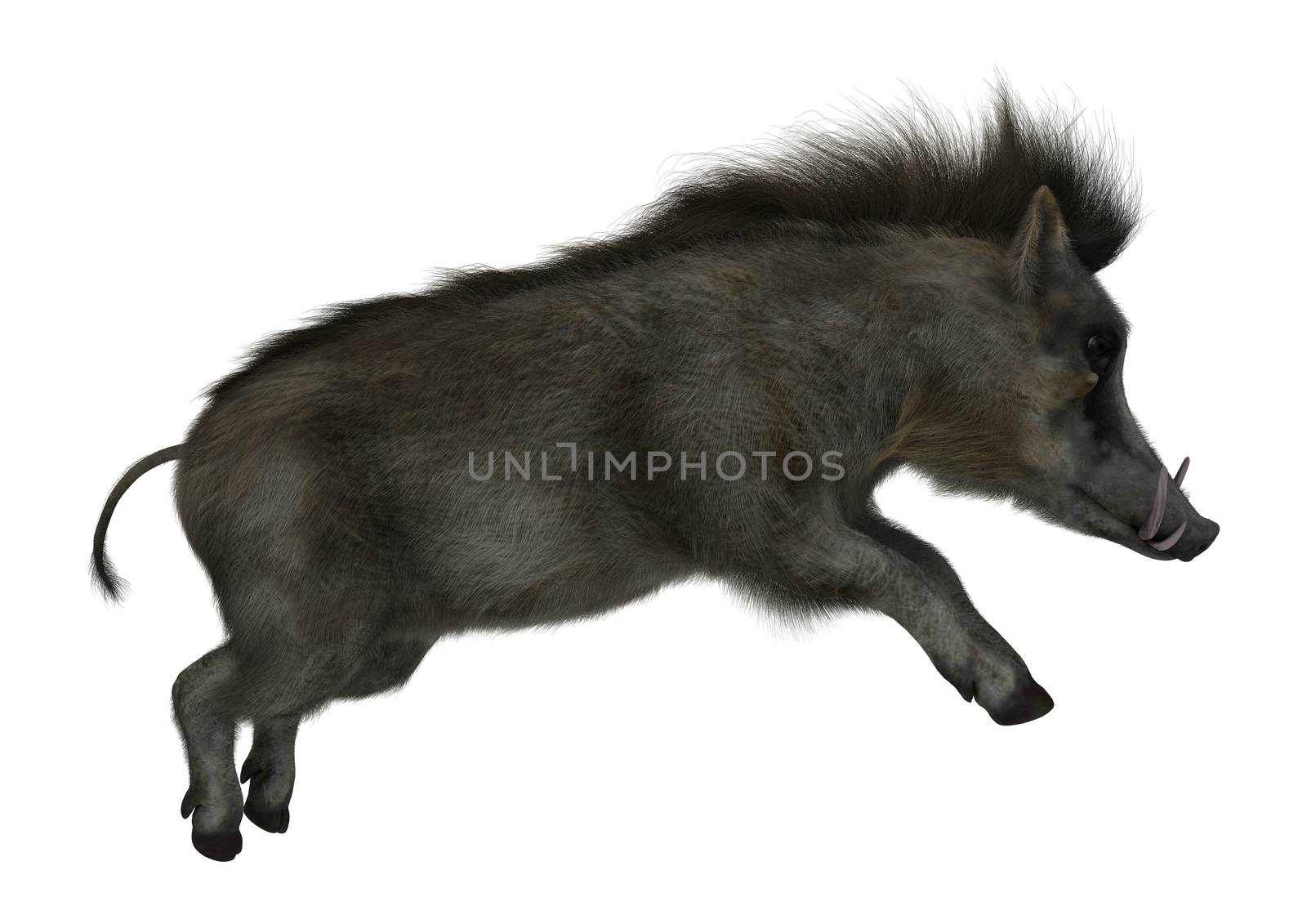 3D digital render of a warthog jumping isolated on white background