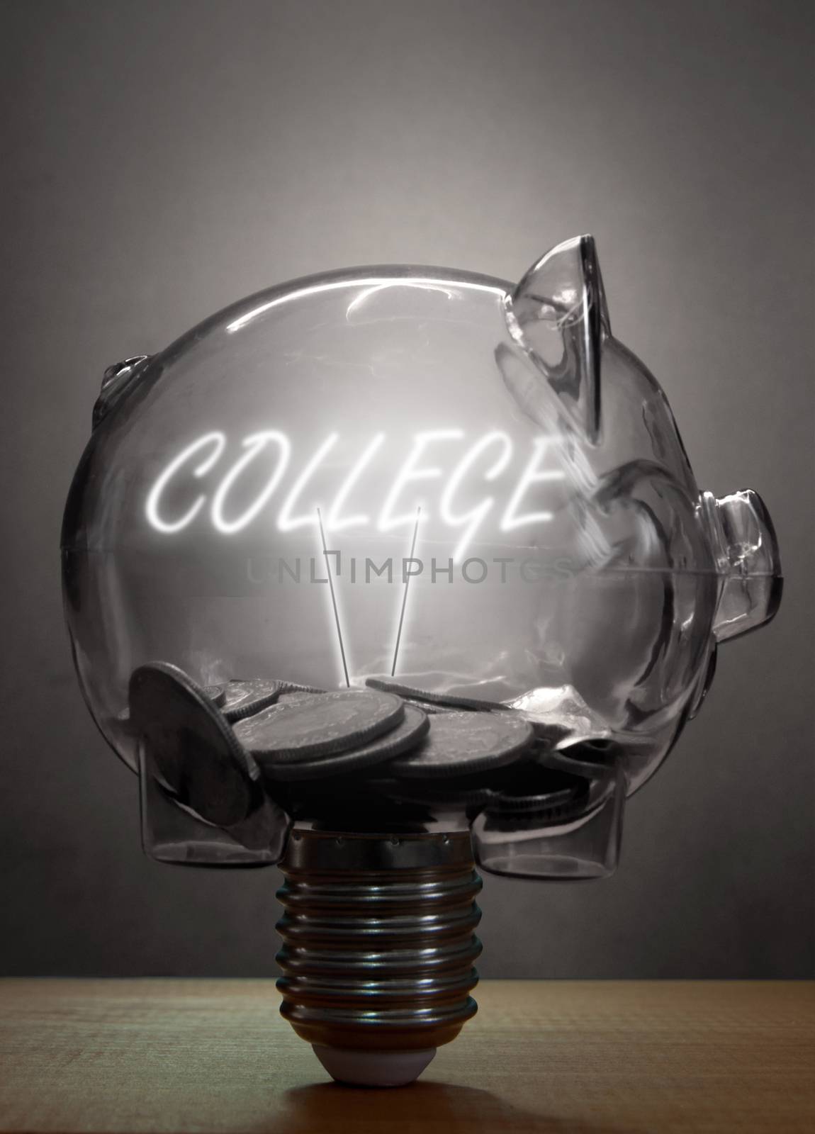Piggybank light bulb with college lit text inside and cash