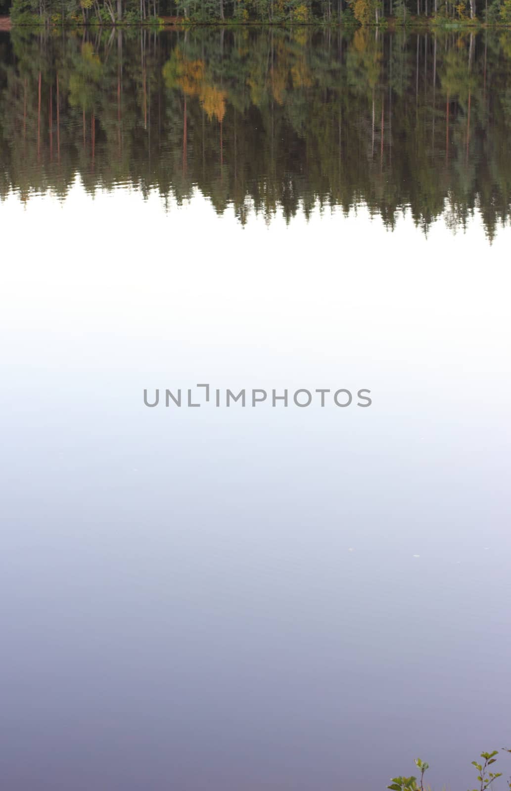 Lake and forest in autumn. Water with reflection