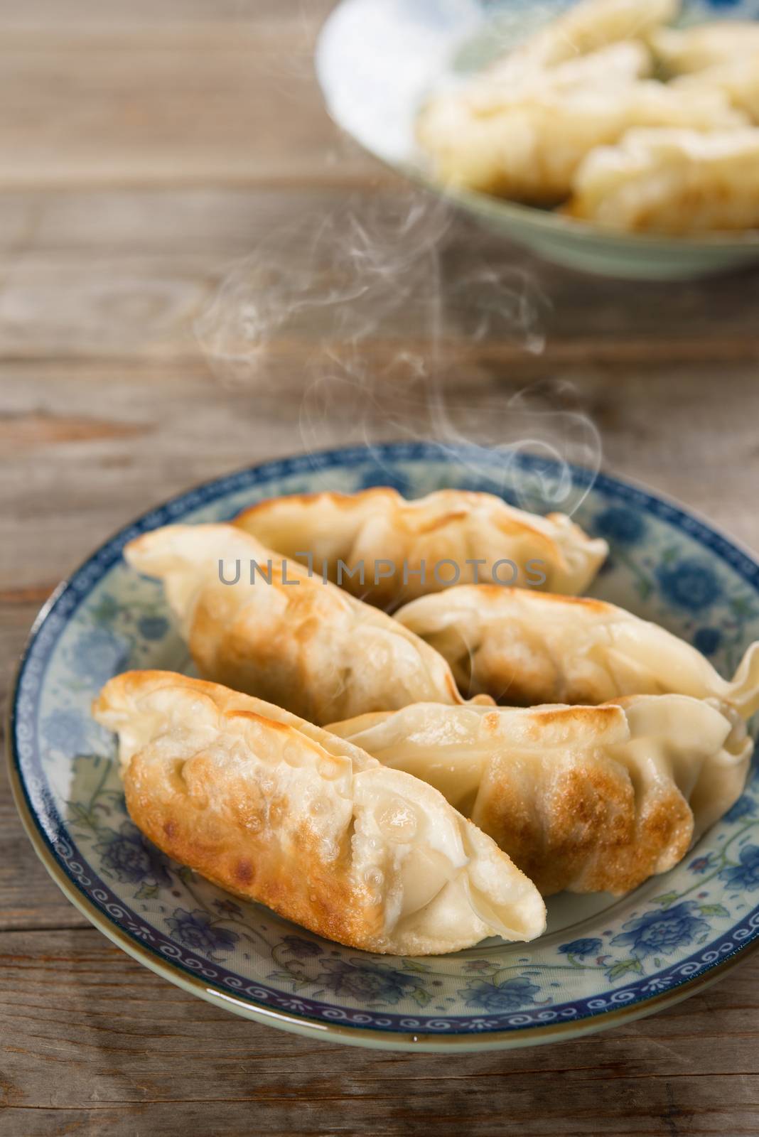 Asian dish pan fried dumplings by szefei