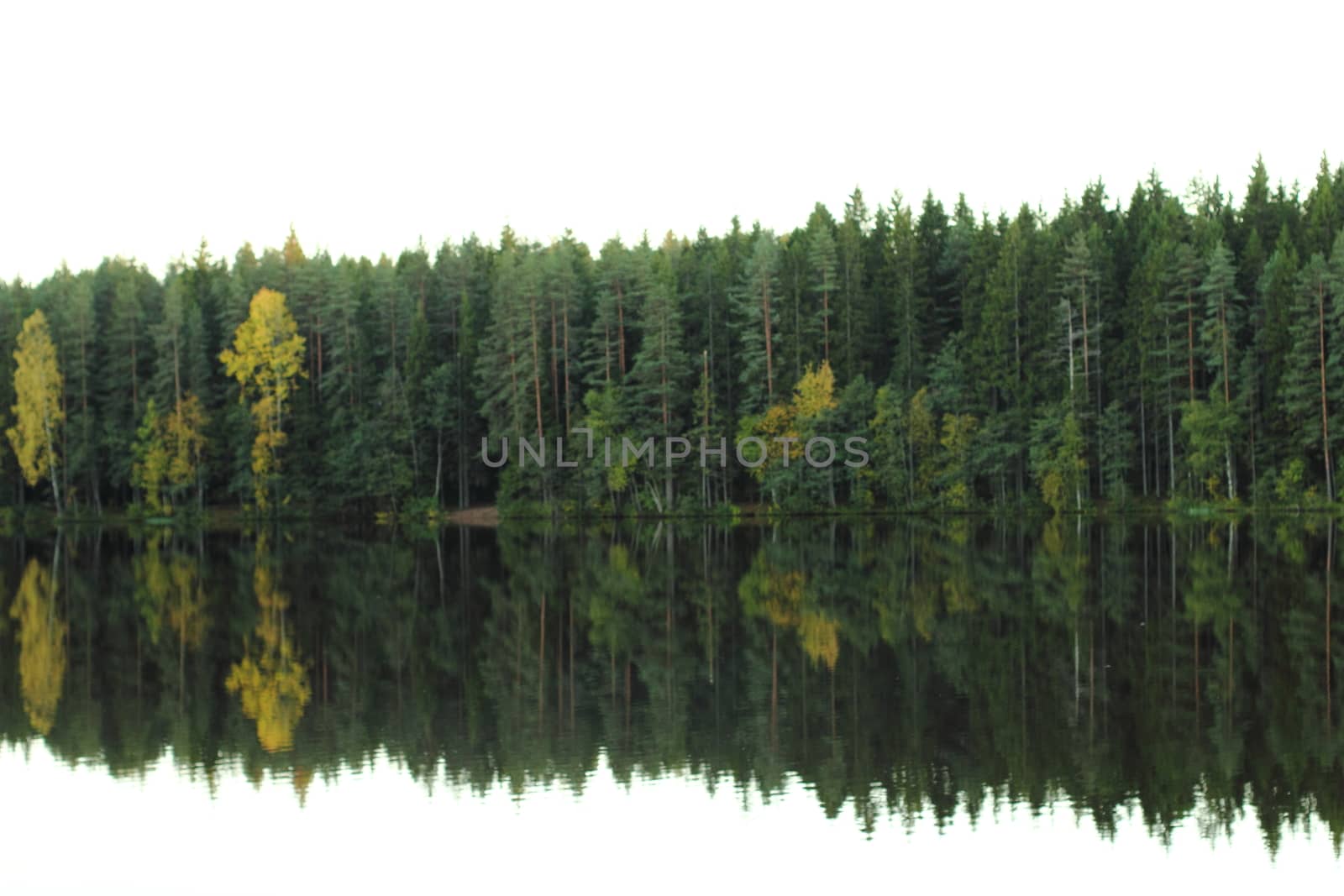 Lake and forest in autumn. by Metanna