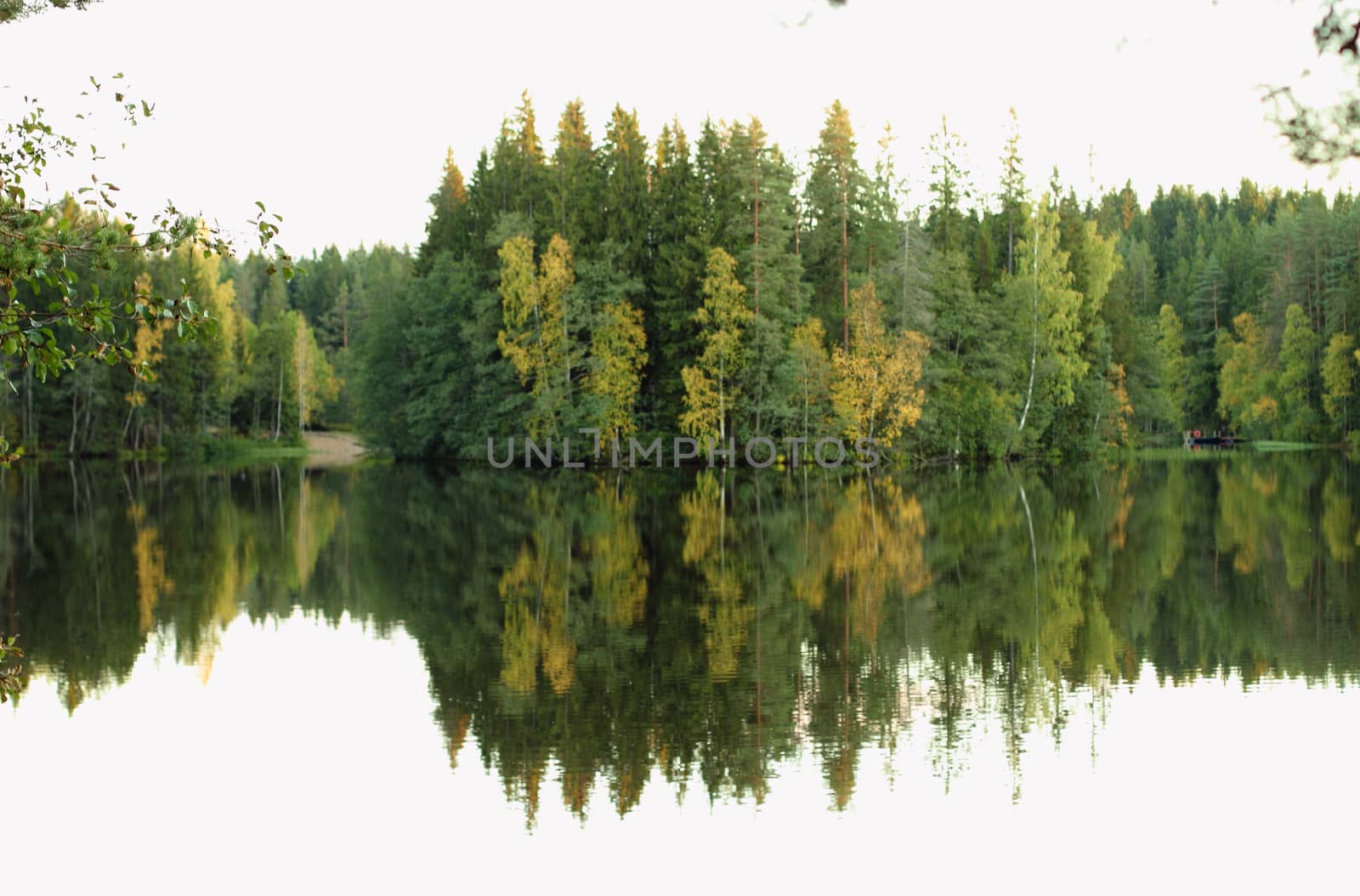 Lake and forest in autumn. Water with reflection