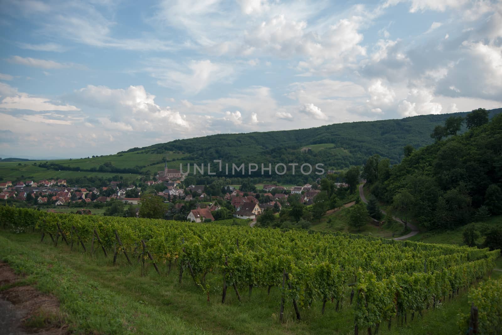 Hiking in Alsace with vinewyard views in France vacation
