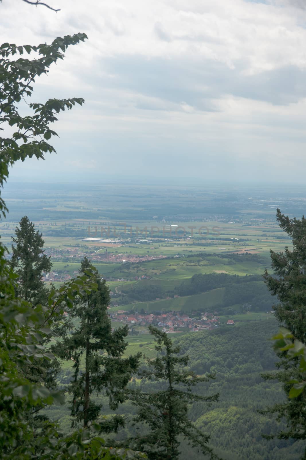 Alsace landscape from a mountain by javax