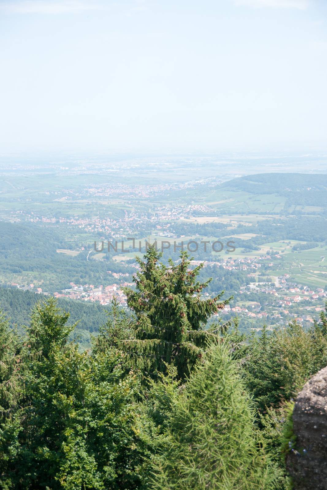 Alsace summer vacation on Mont st Odile mountain