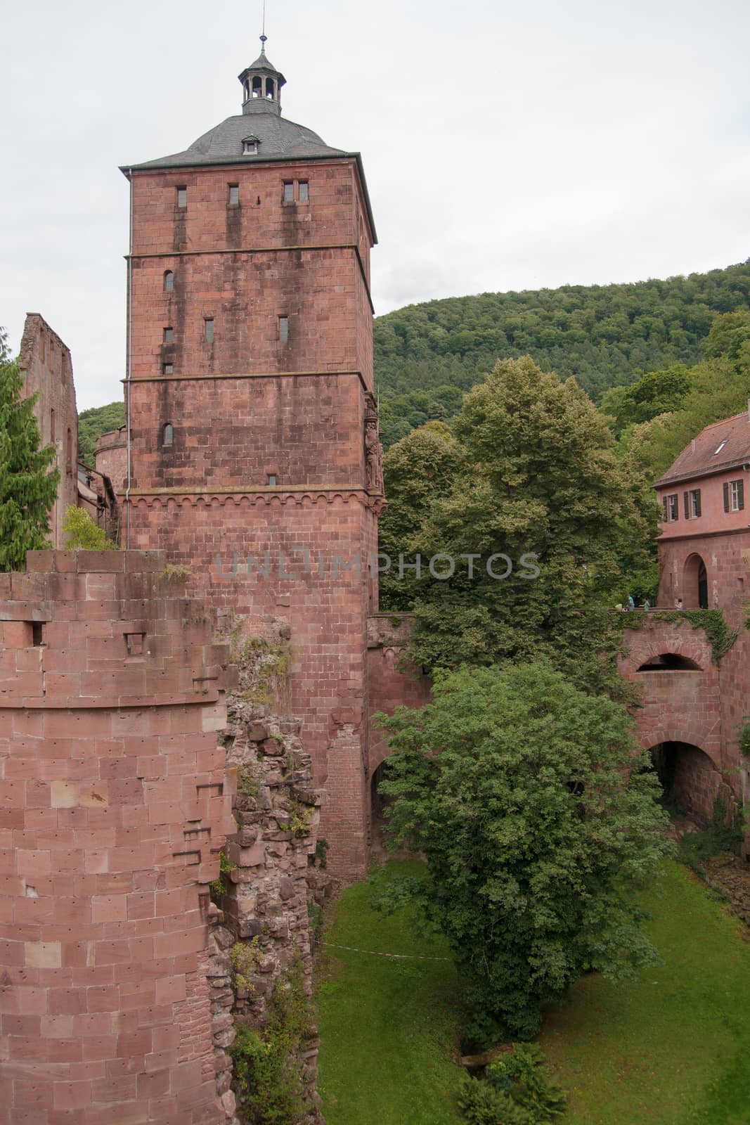 Romantic and beautiful Heidelberg castle for europe tourism