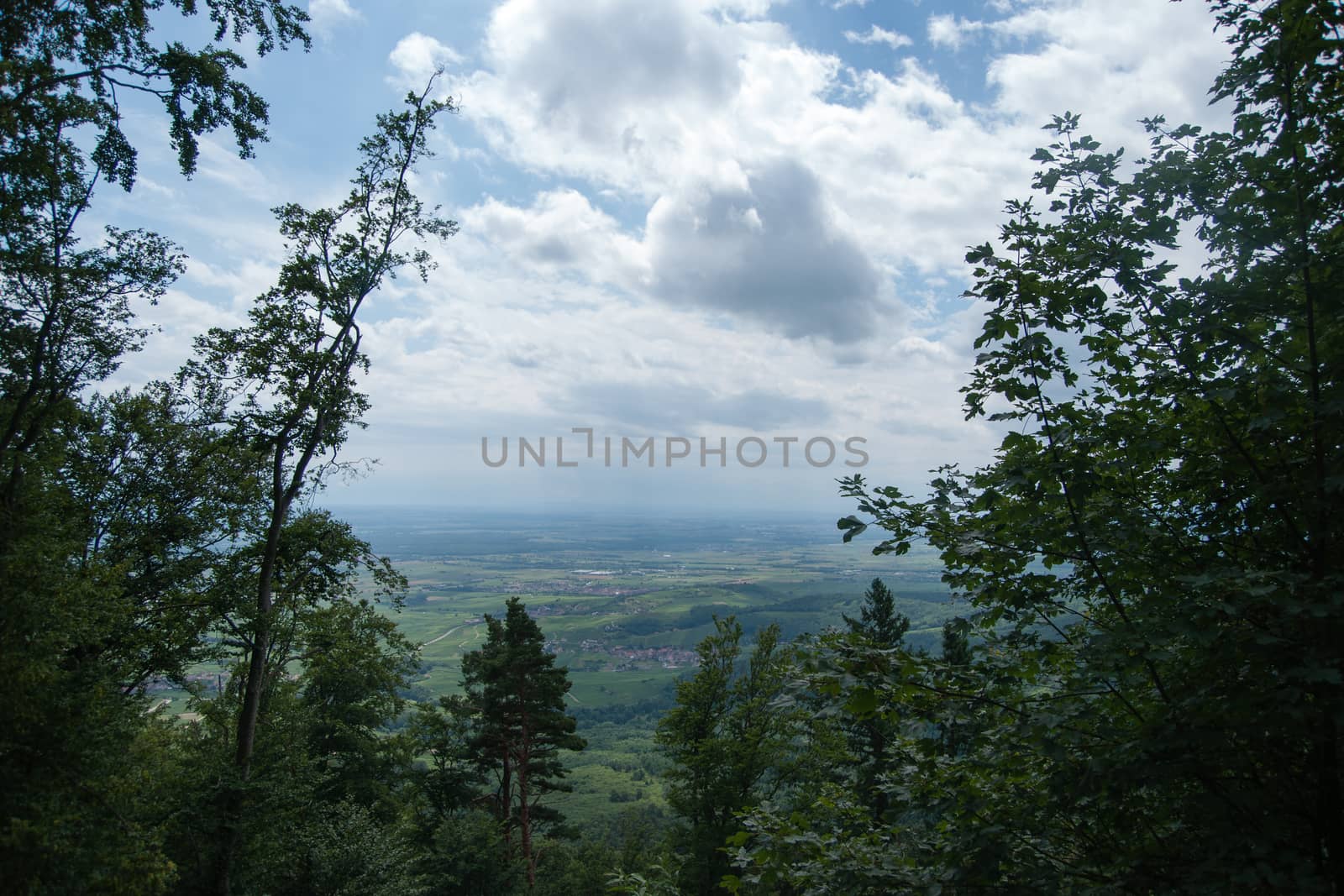 Alsace landscape from a mountain by javax