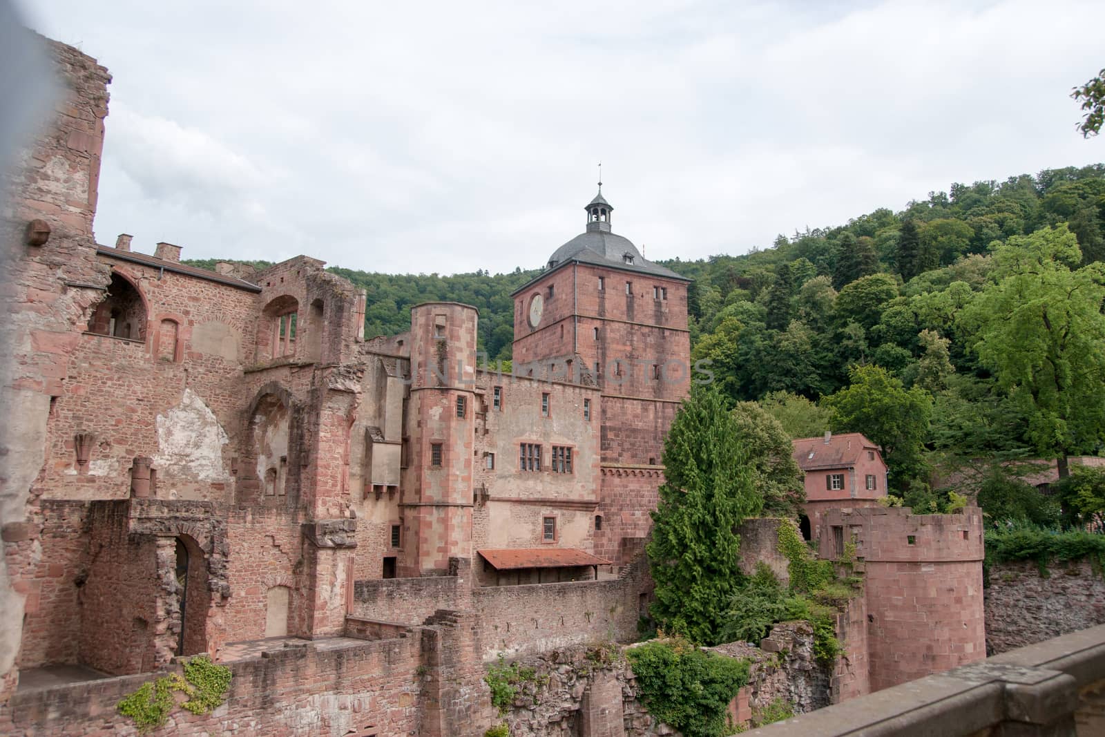 Heidelberg castle attraction by javax