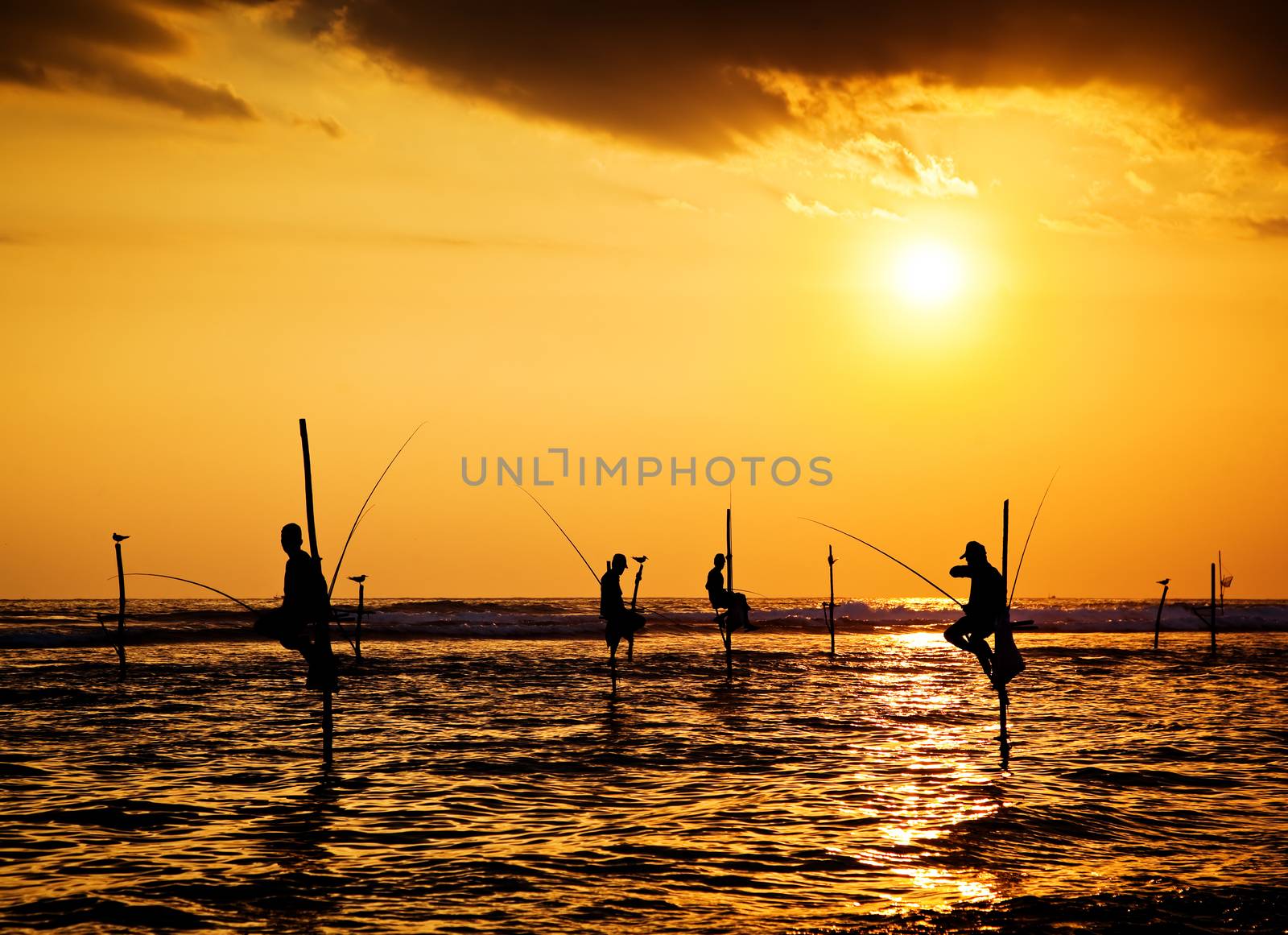 Silhouettes of the traditional stilt fishermen at the sunset near Galle in Sri Lanka